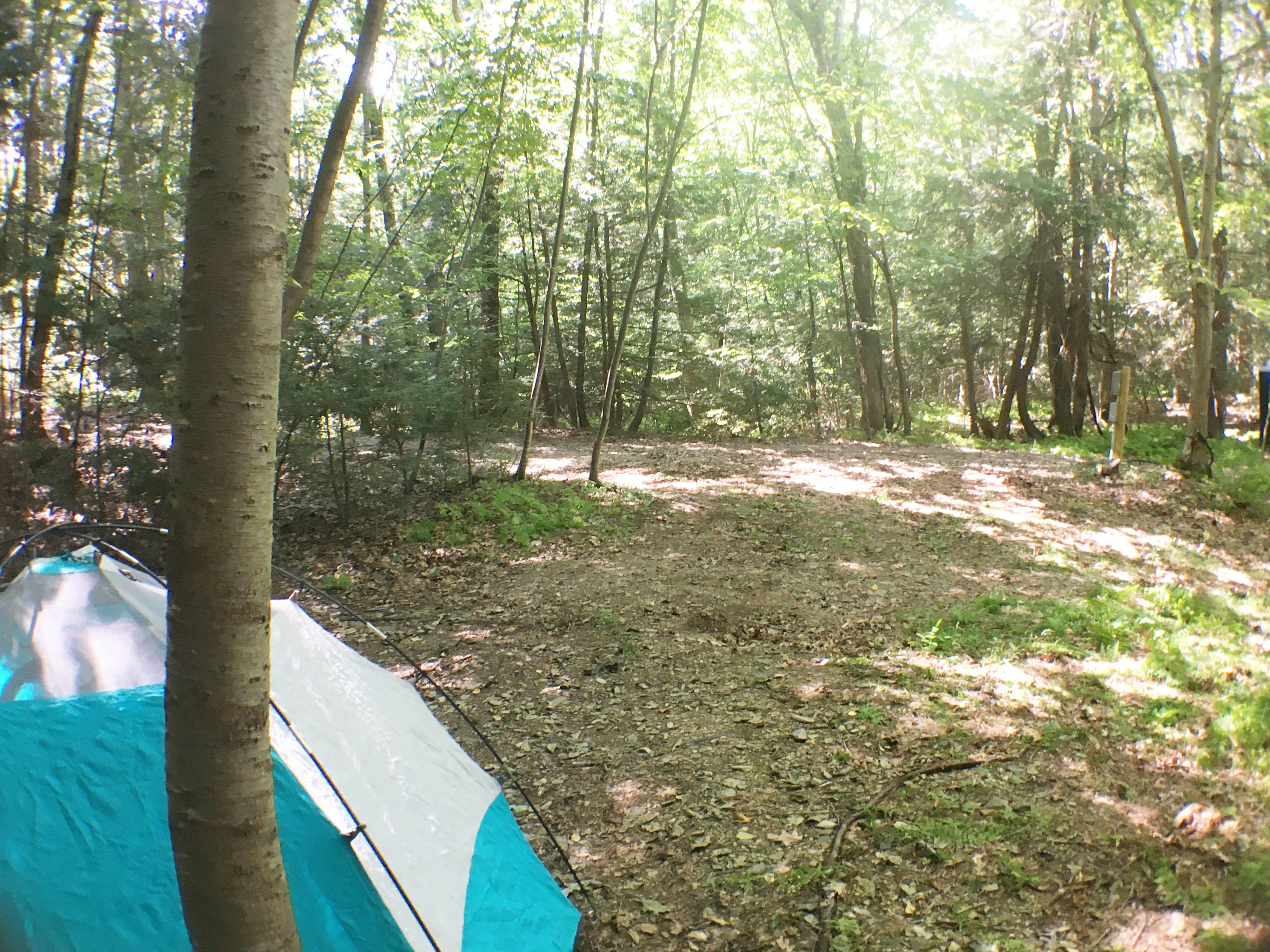 Looking in the direction of Campsite1