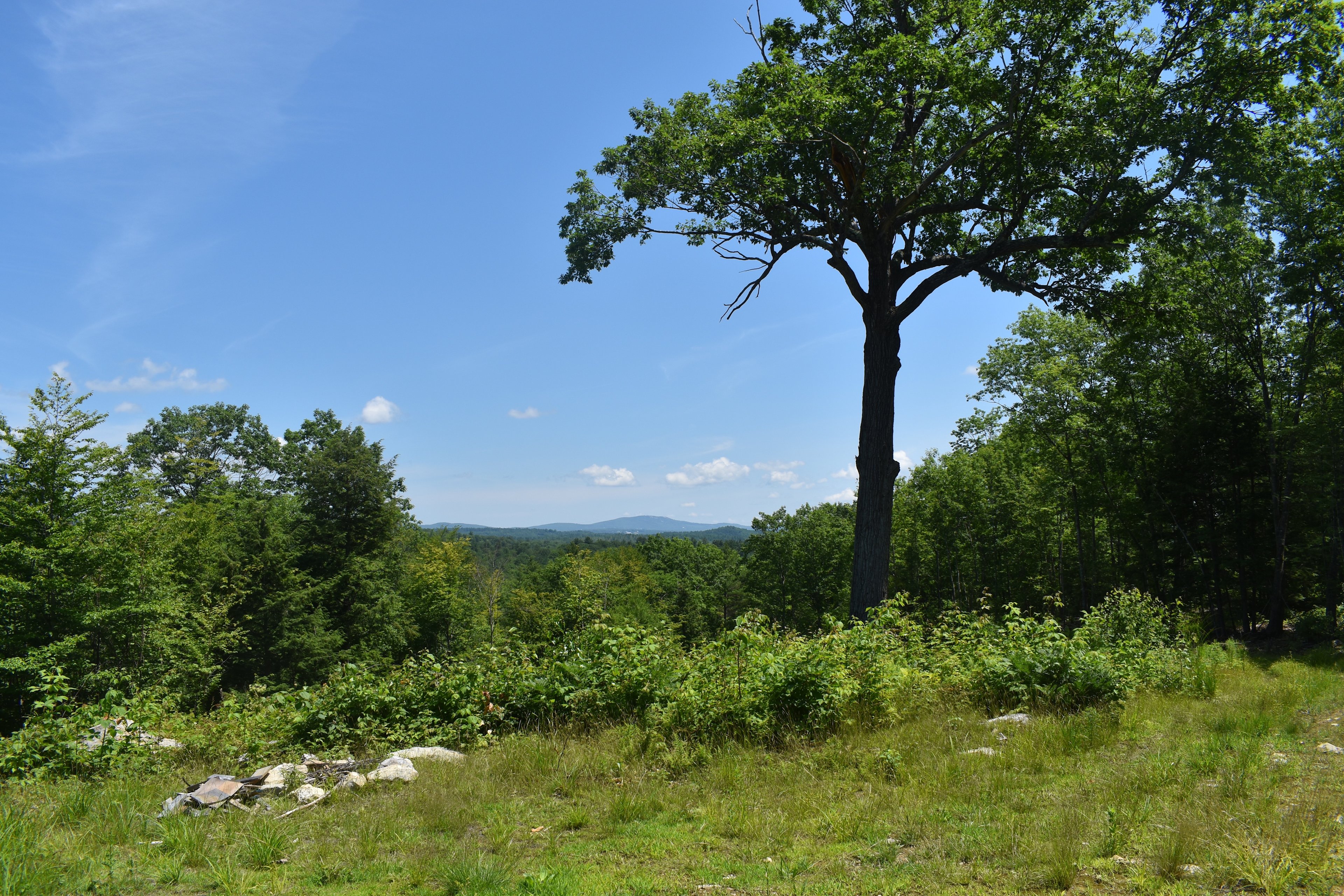 View from the front porch overlooking Streaked Mountain
