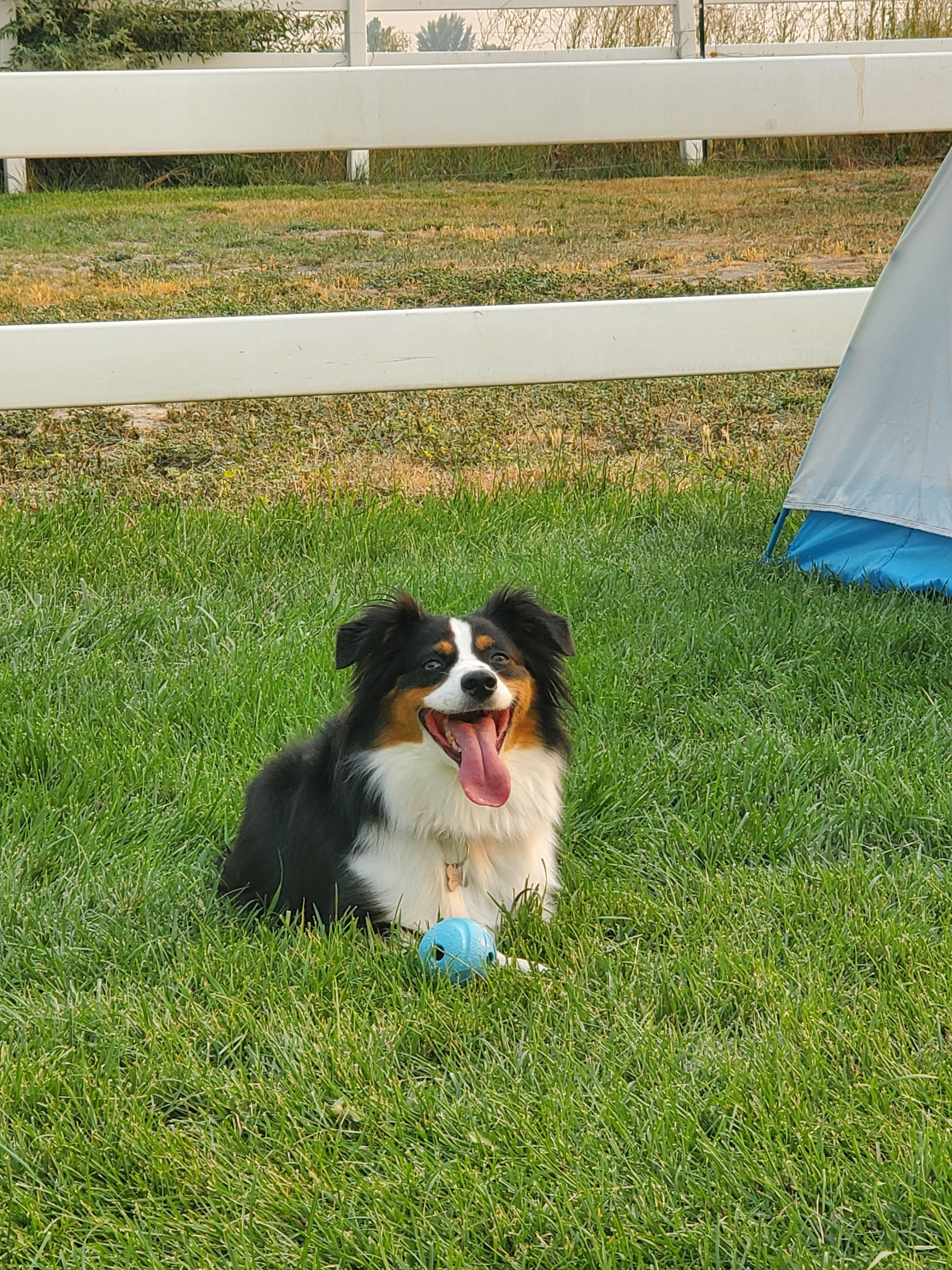 Country Camping close to town