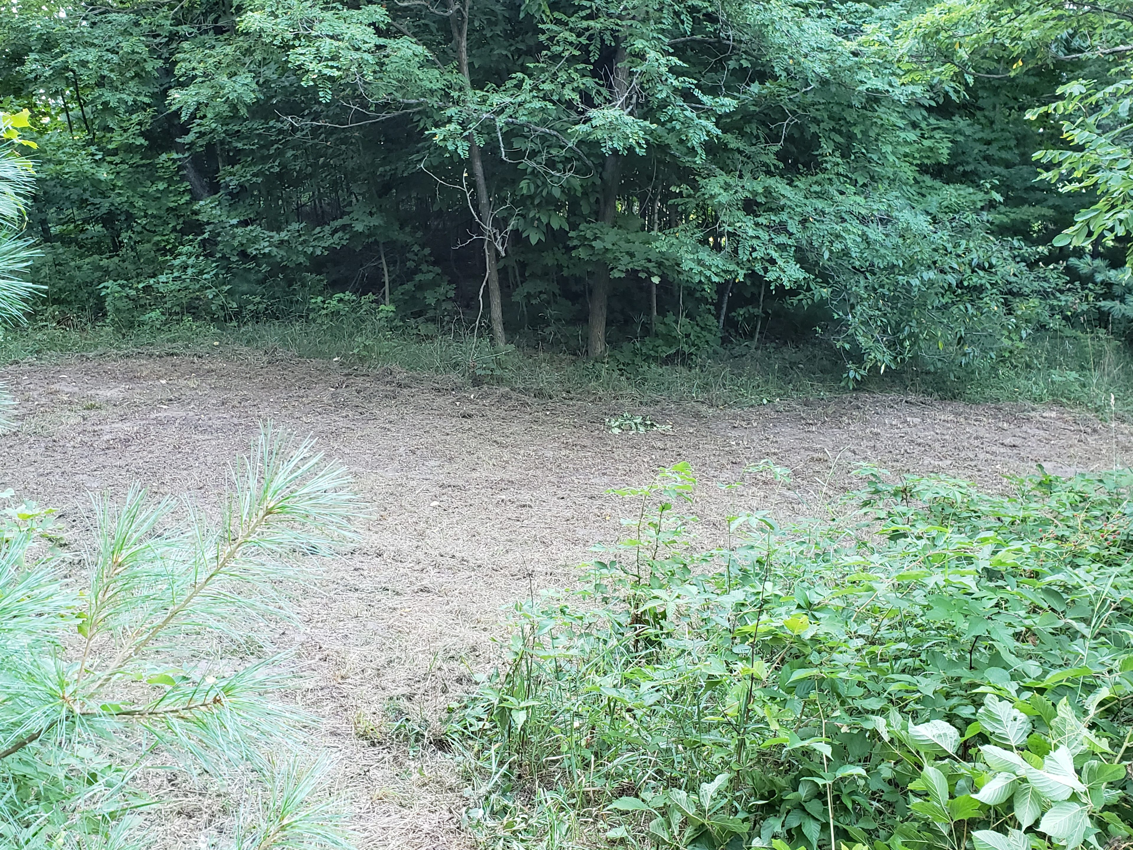 This site is private and surrounded by trees and berry bushes. It is the closest to the road but due to surrounding forest, it feels very secluded. Site is slightly unlevel so choose tent location carefully.