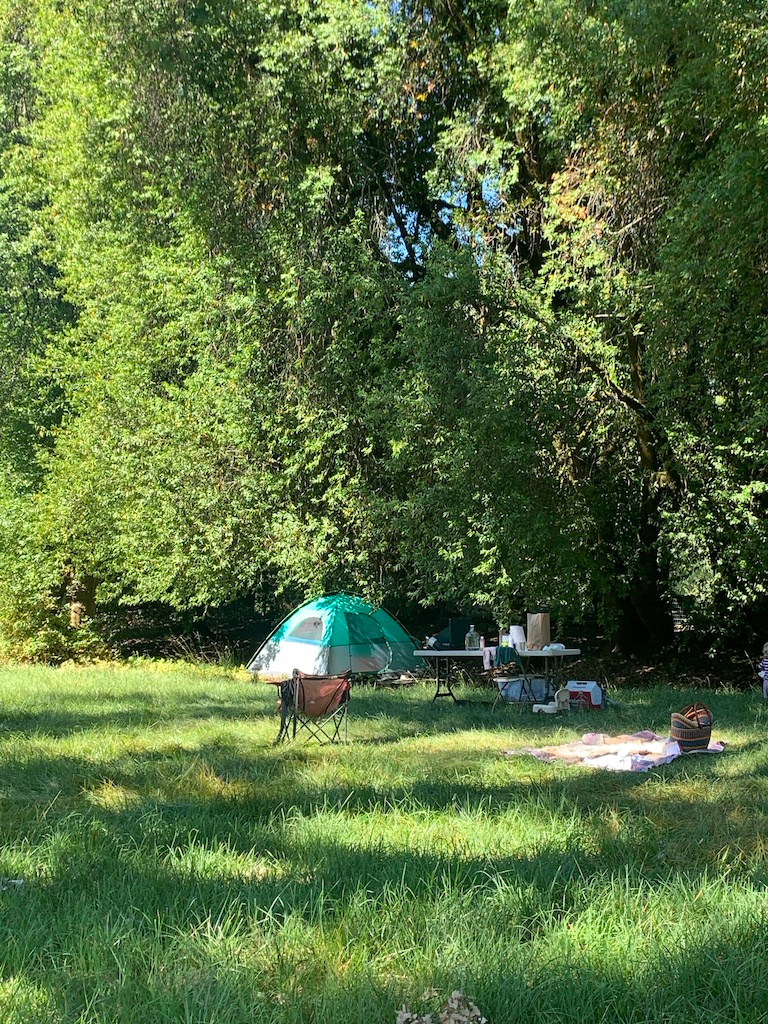 Oak Grove (early summer)