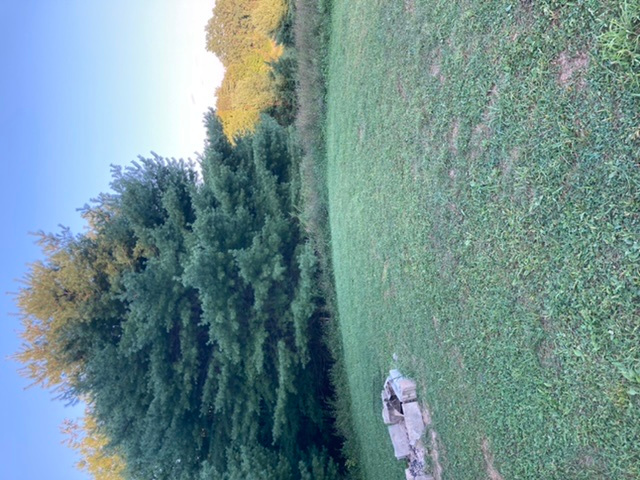 Gunx Camping On A Horse Farm!