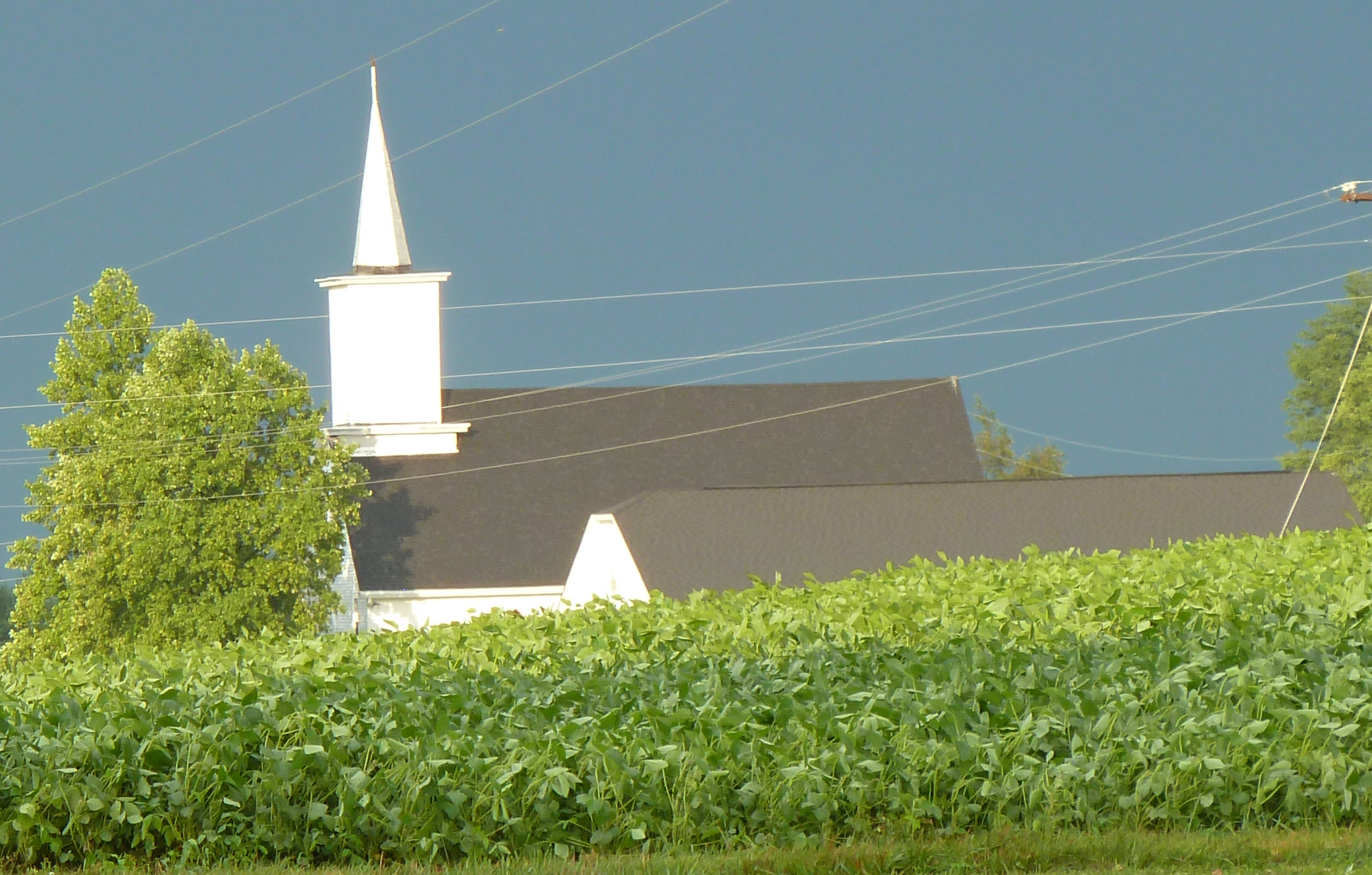 Camping Along the Old Bison Trail