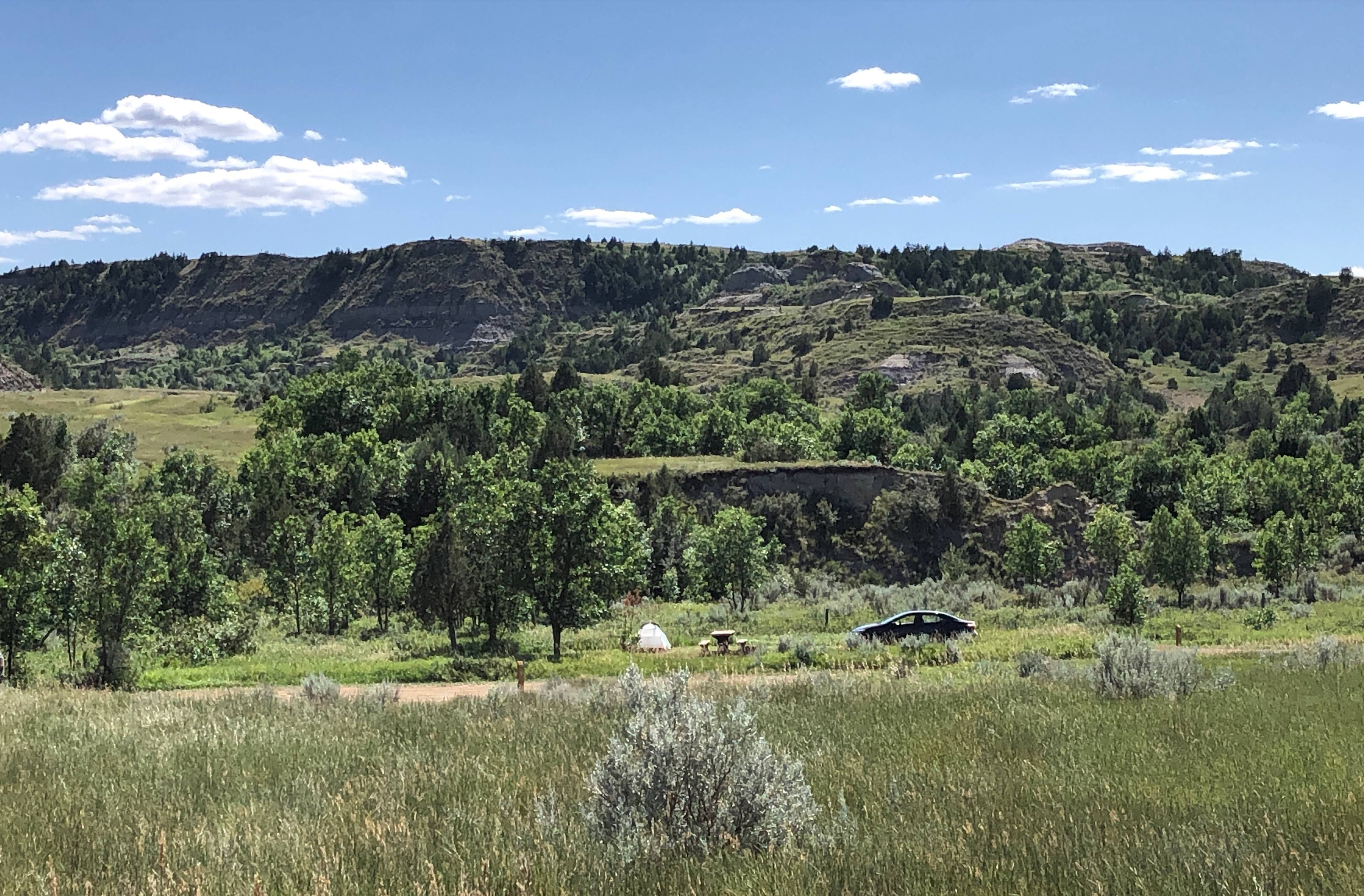 “Shady” campsite