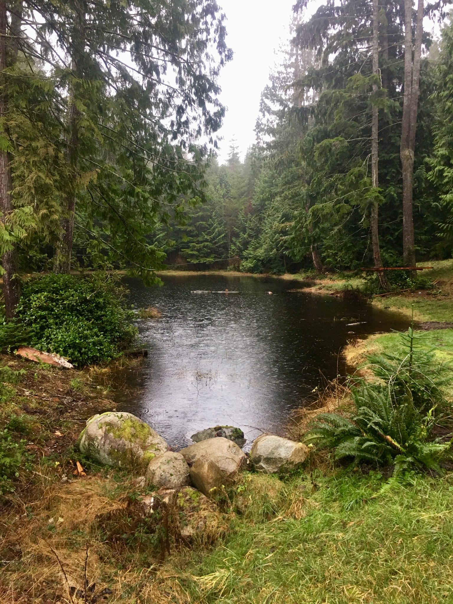 The pond area is nice and shady and a good place to relax on a hot day. 