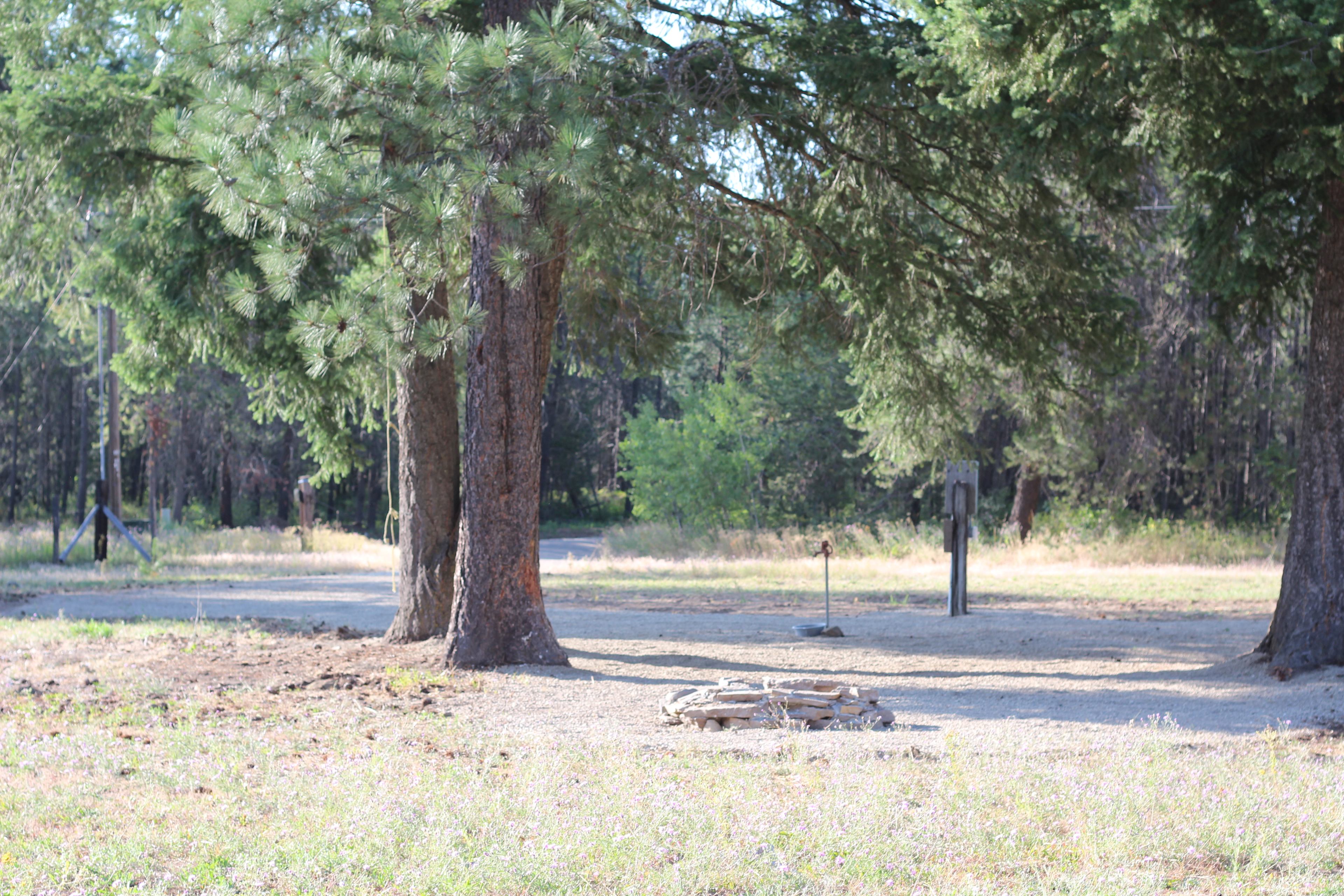 This is the view from behind the spot looking out onto the driveway