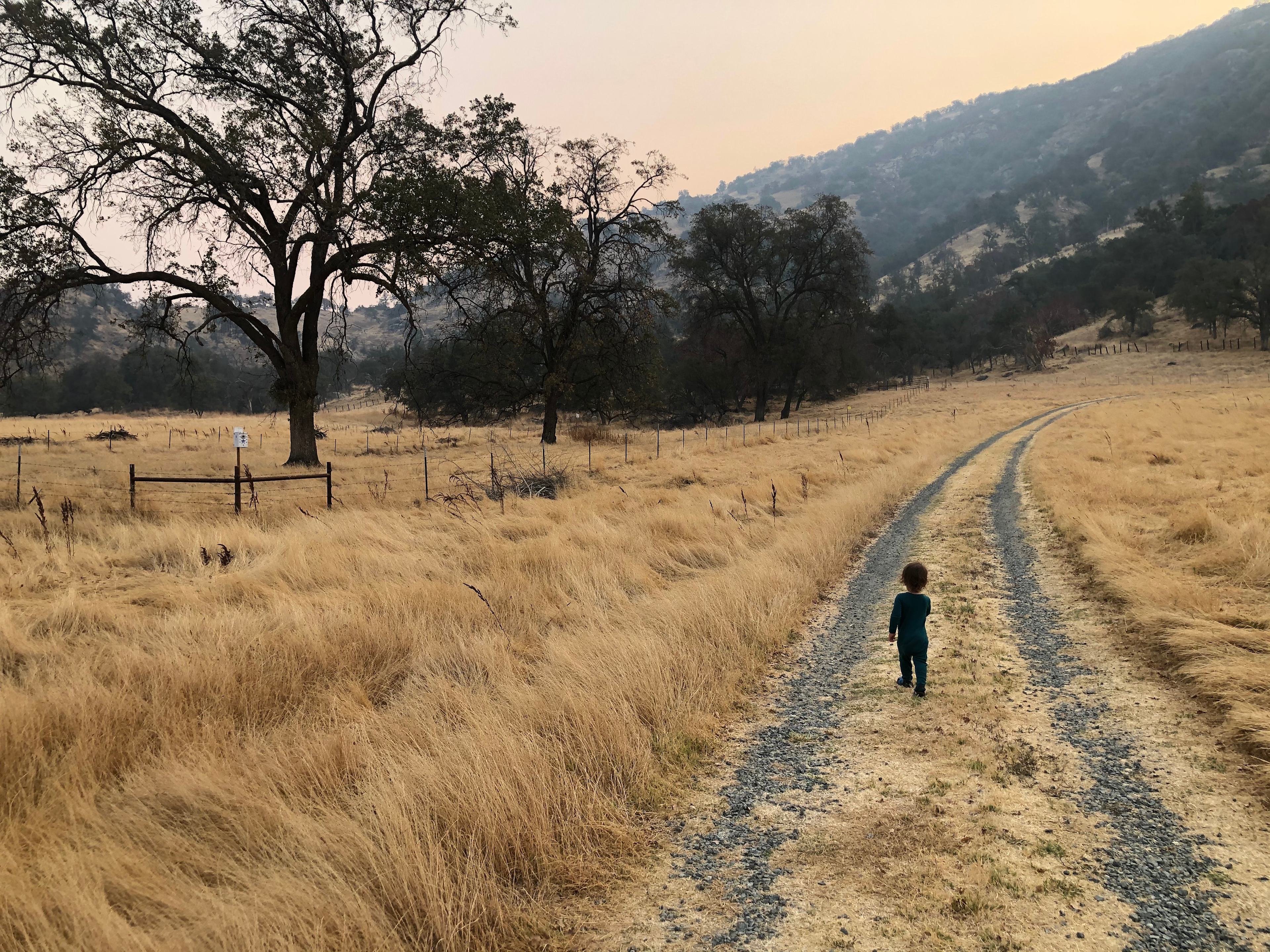 Sierra Ranch - Cabins & Tents