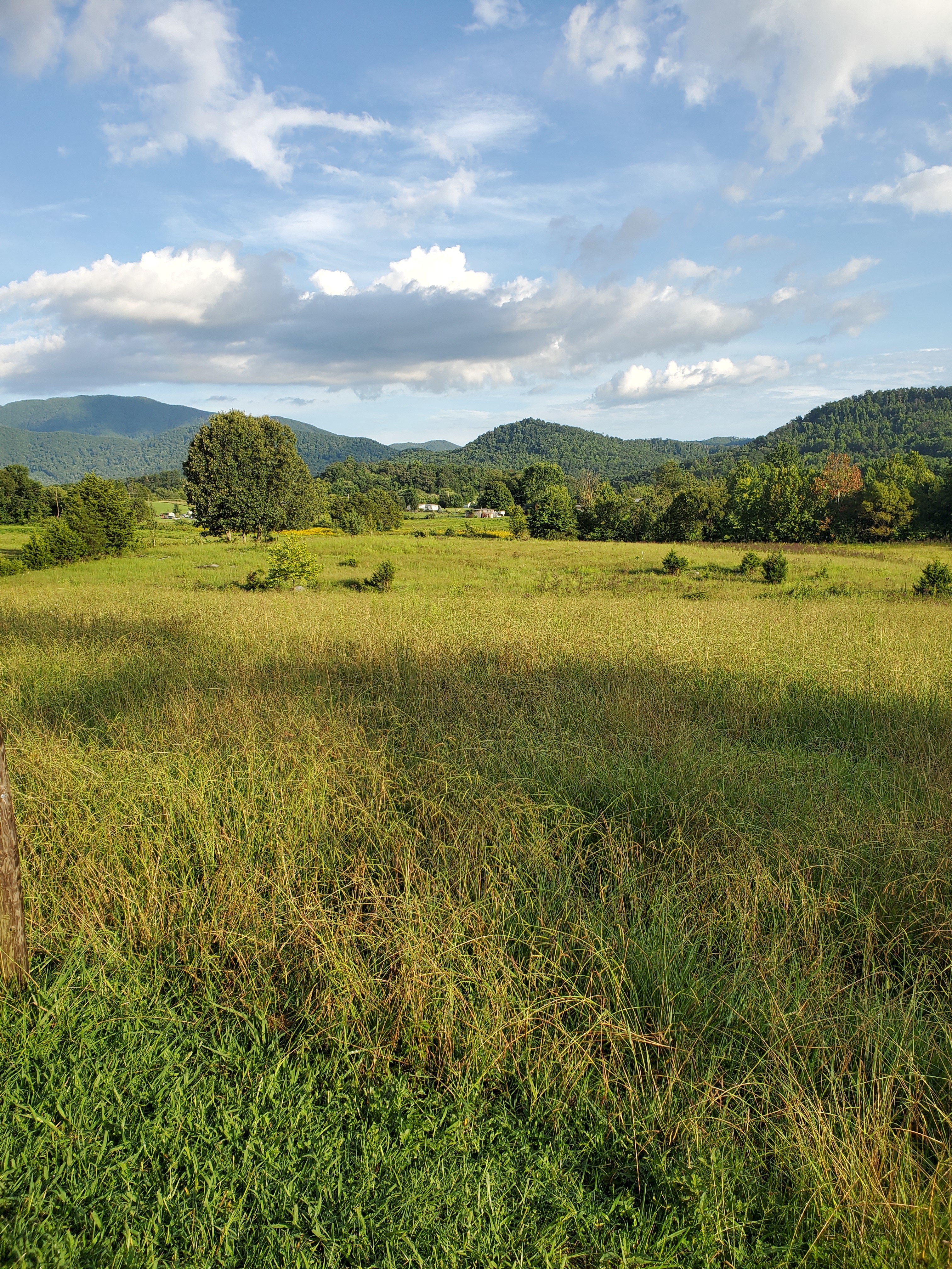 South from the top of the farmhouse hill. 