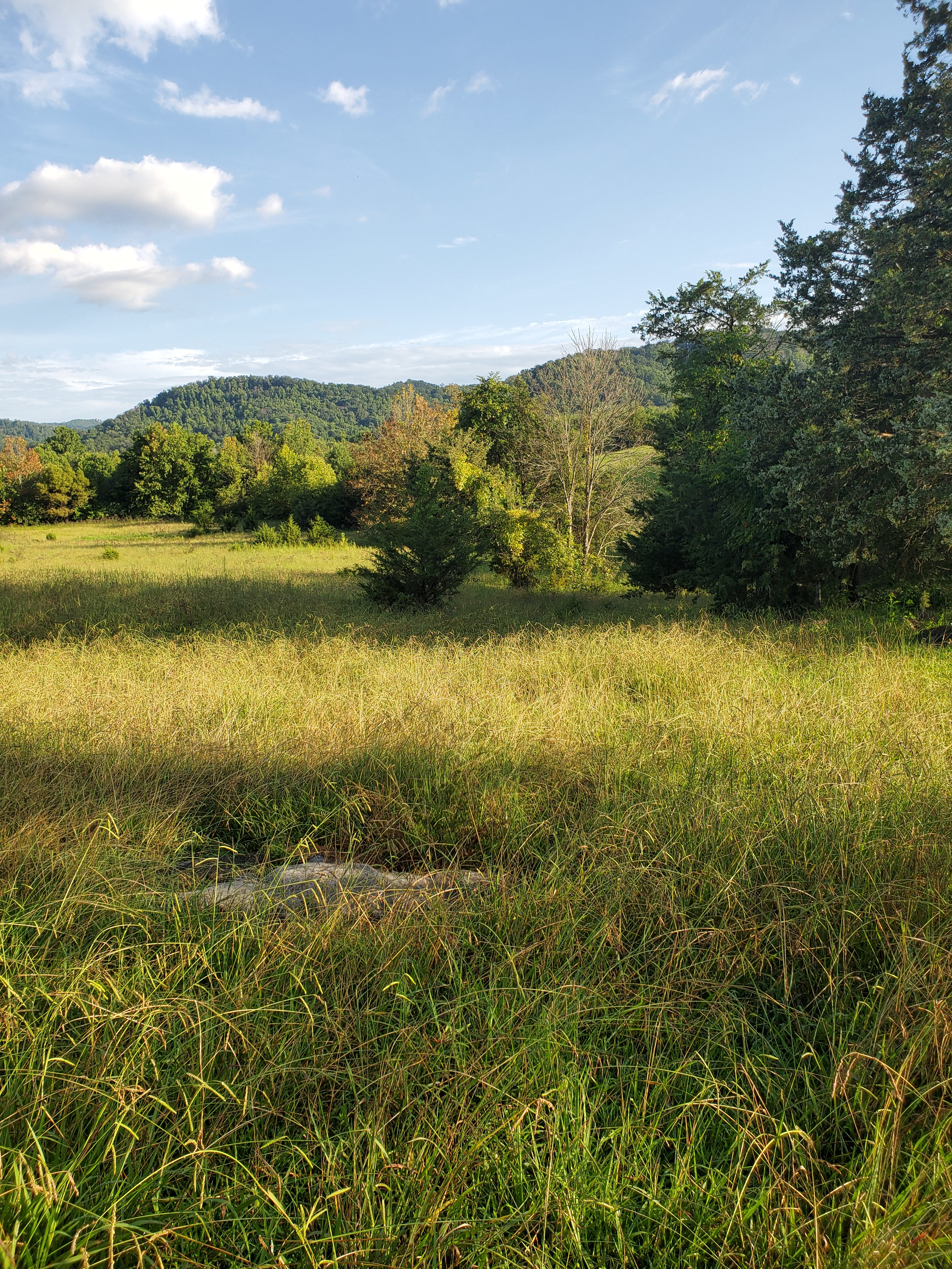 Area toward the spring and swimming hole. 