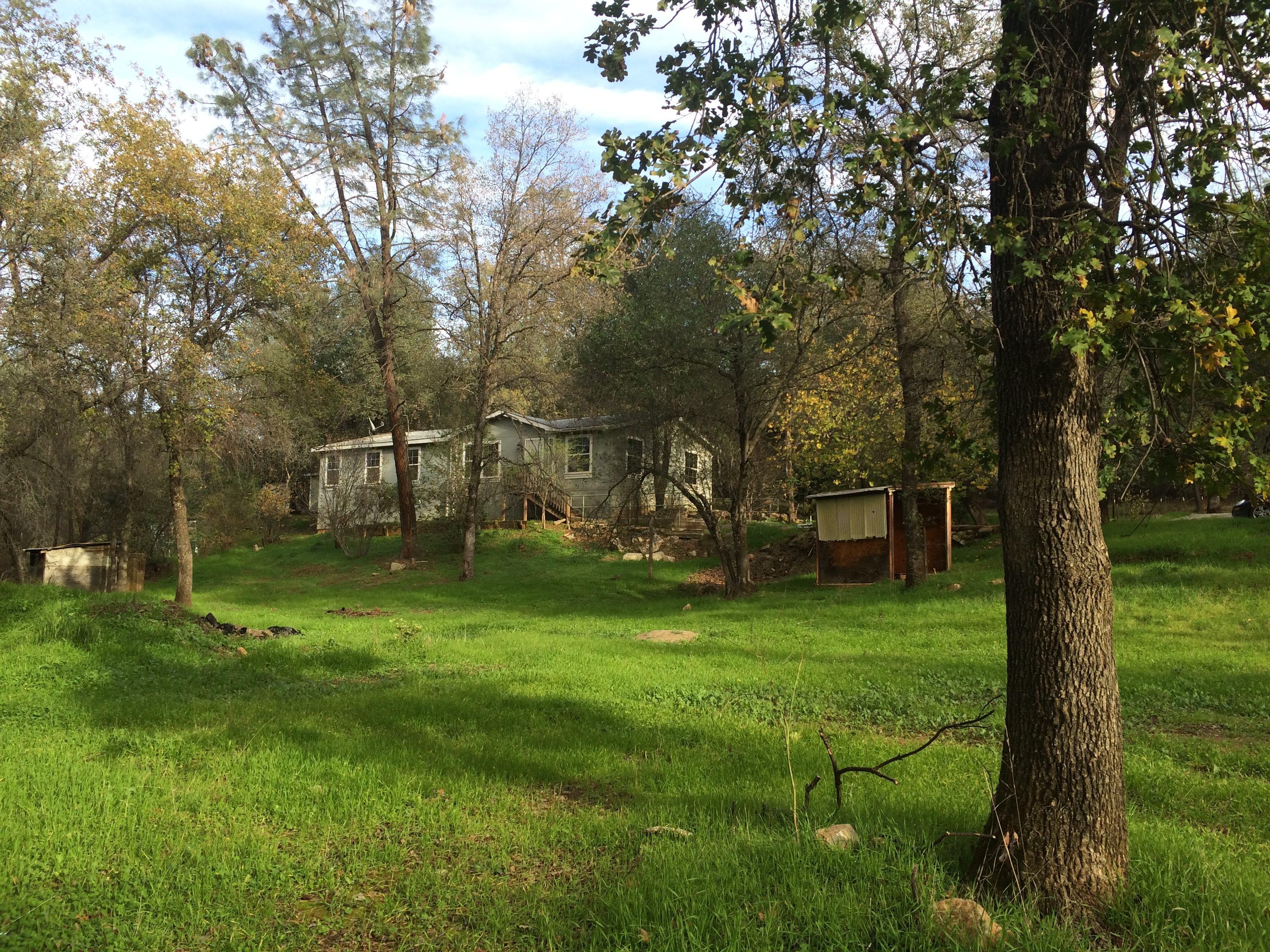 Secluded High Creek Side Cabin-Deck