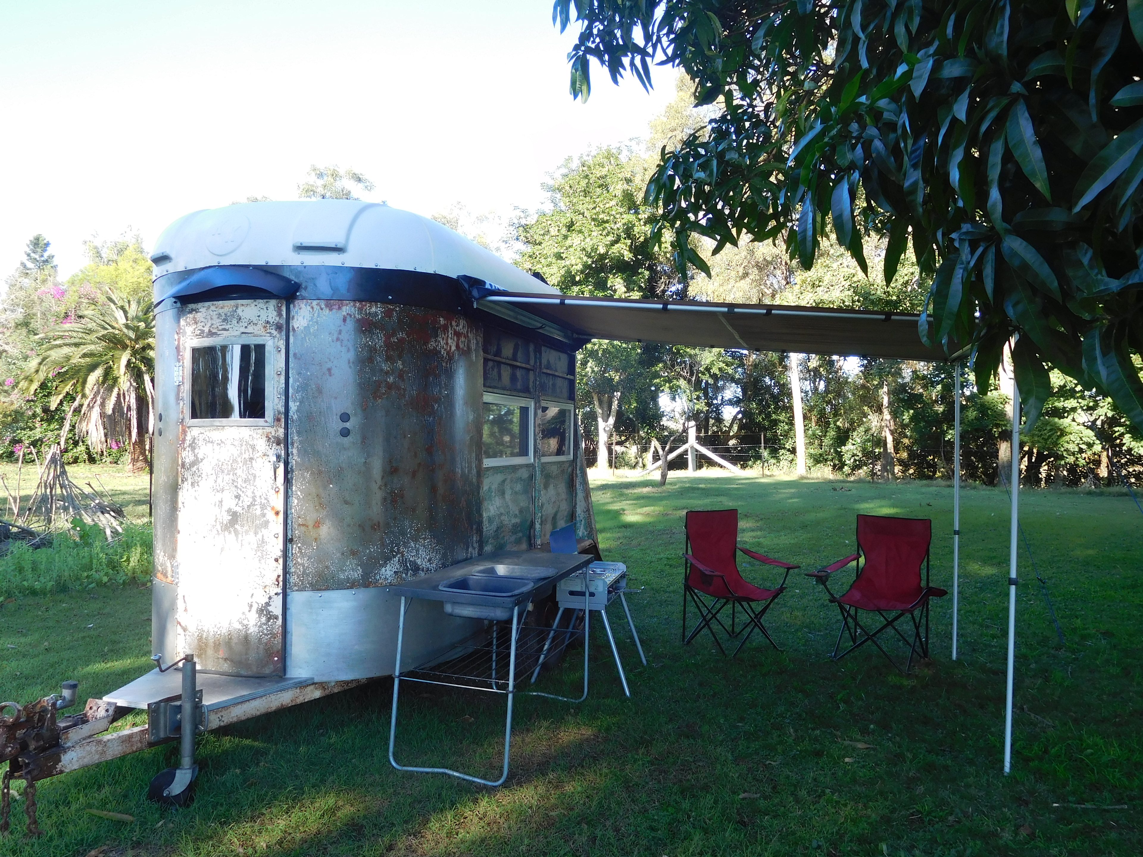 Glamper under Mango Tree