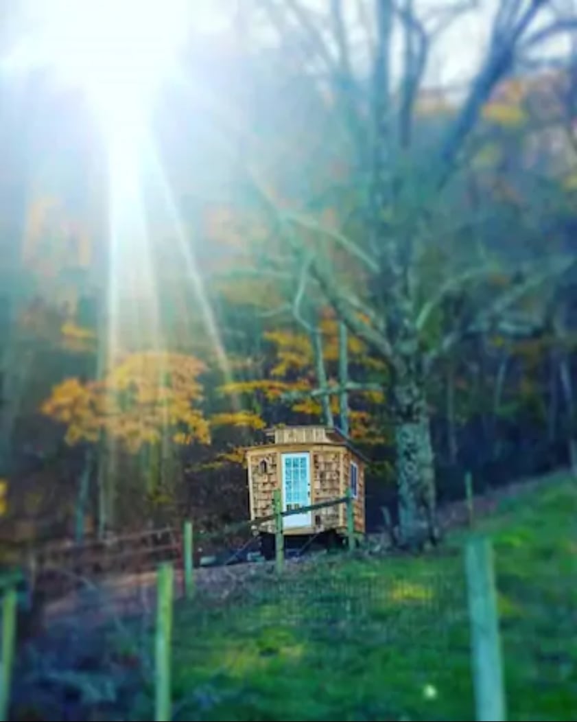 View of the Gypsy Wagon