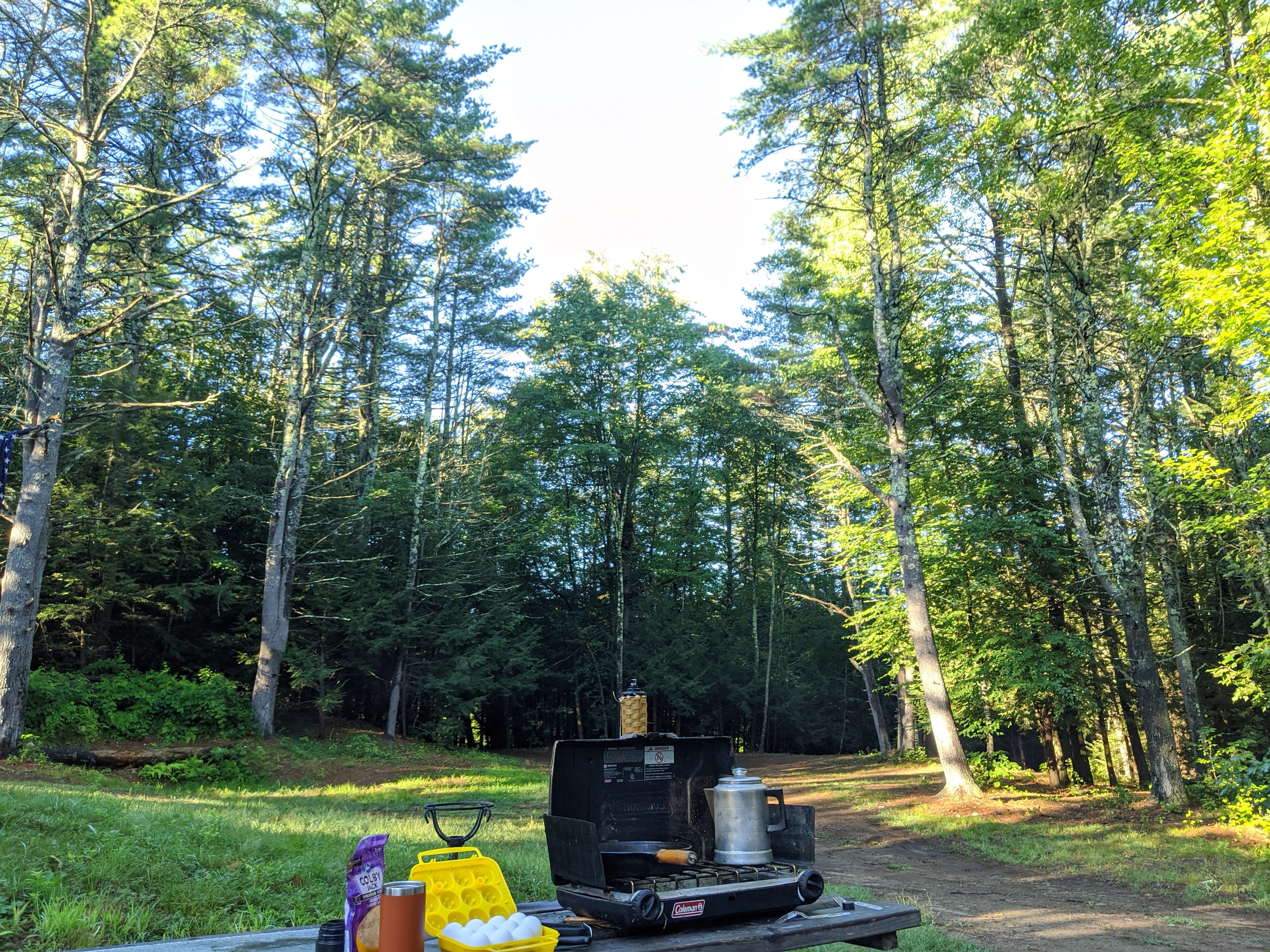 Camp in the woods