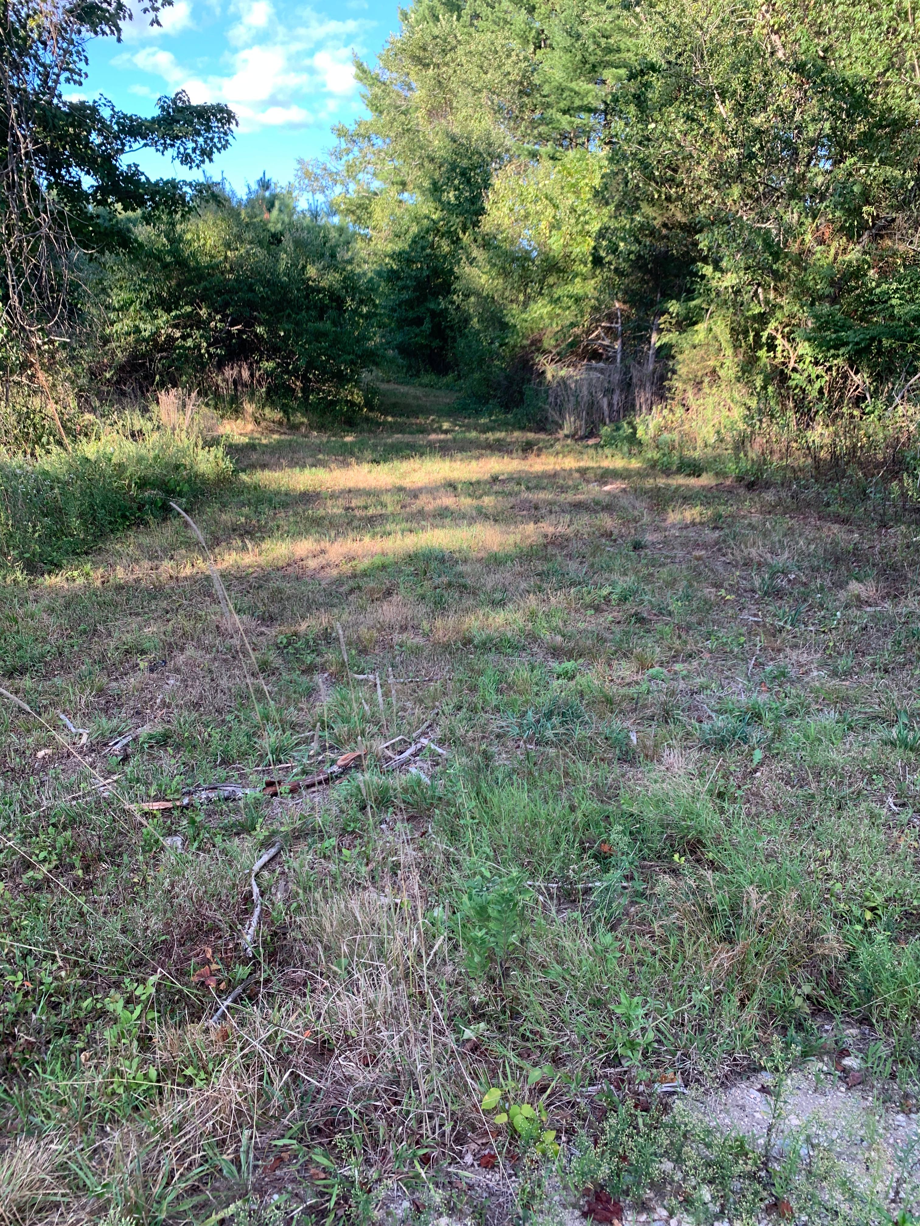 Entrance to back field