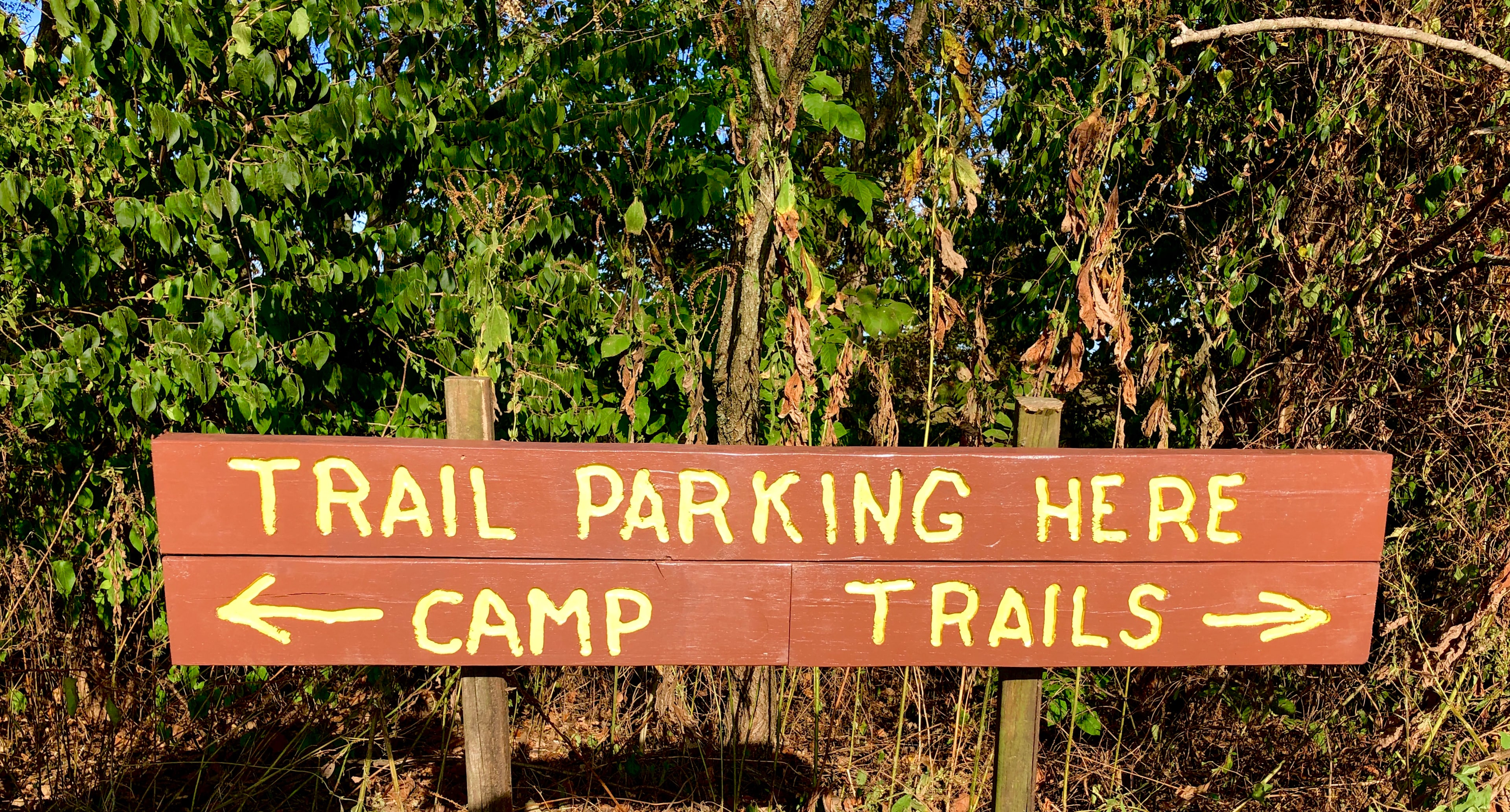 Camping Along the Old Bison Trail