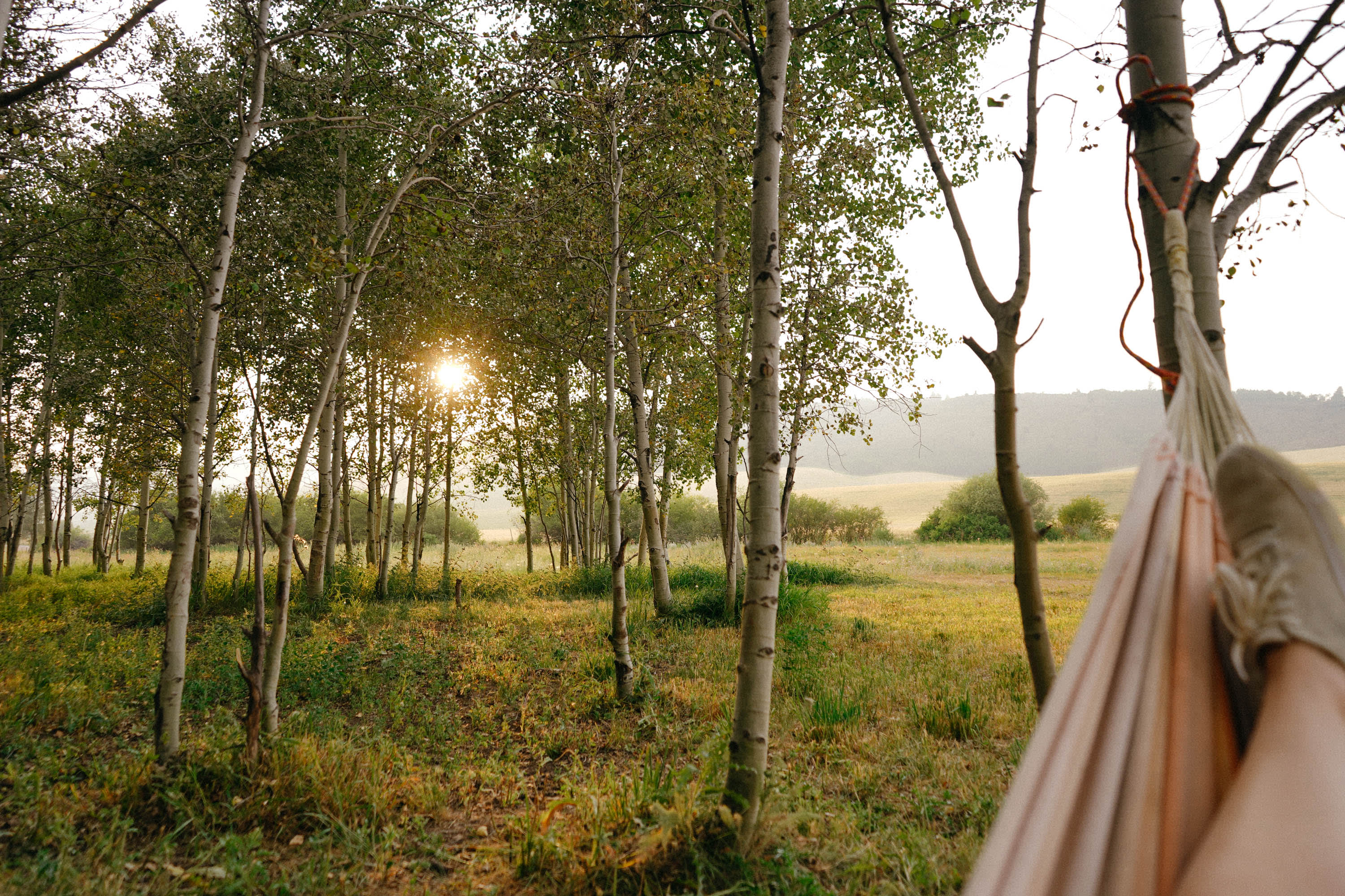 You can't really beat a hammock sunset in the Summer!