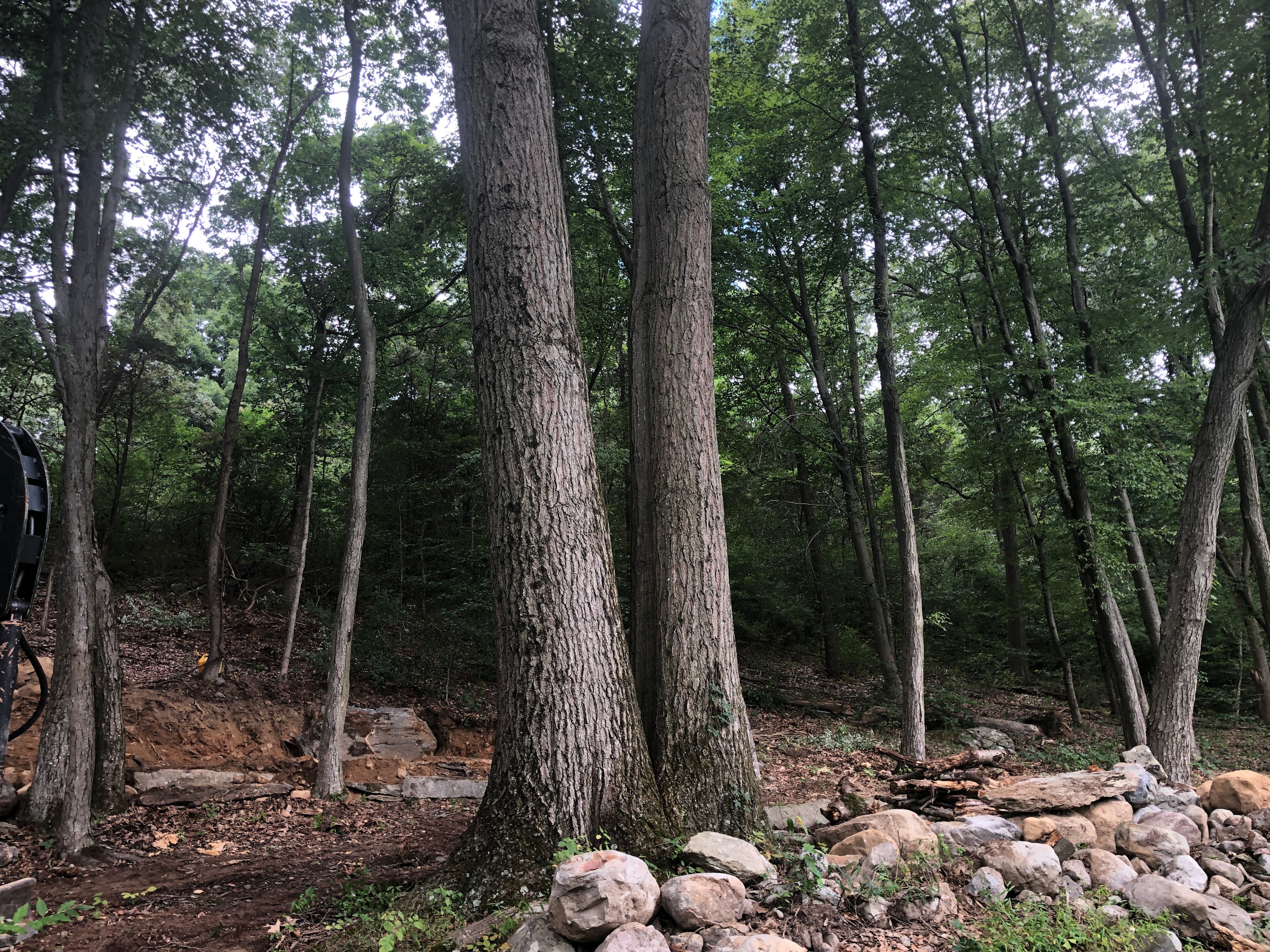 Twin Oaks - Approaching the site from the parking area.