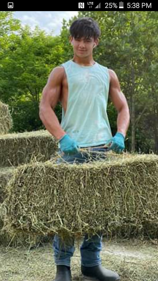 Just old hay feild , 71 Acres ,$20