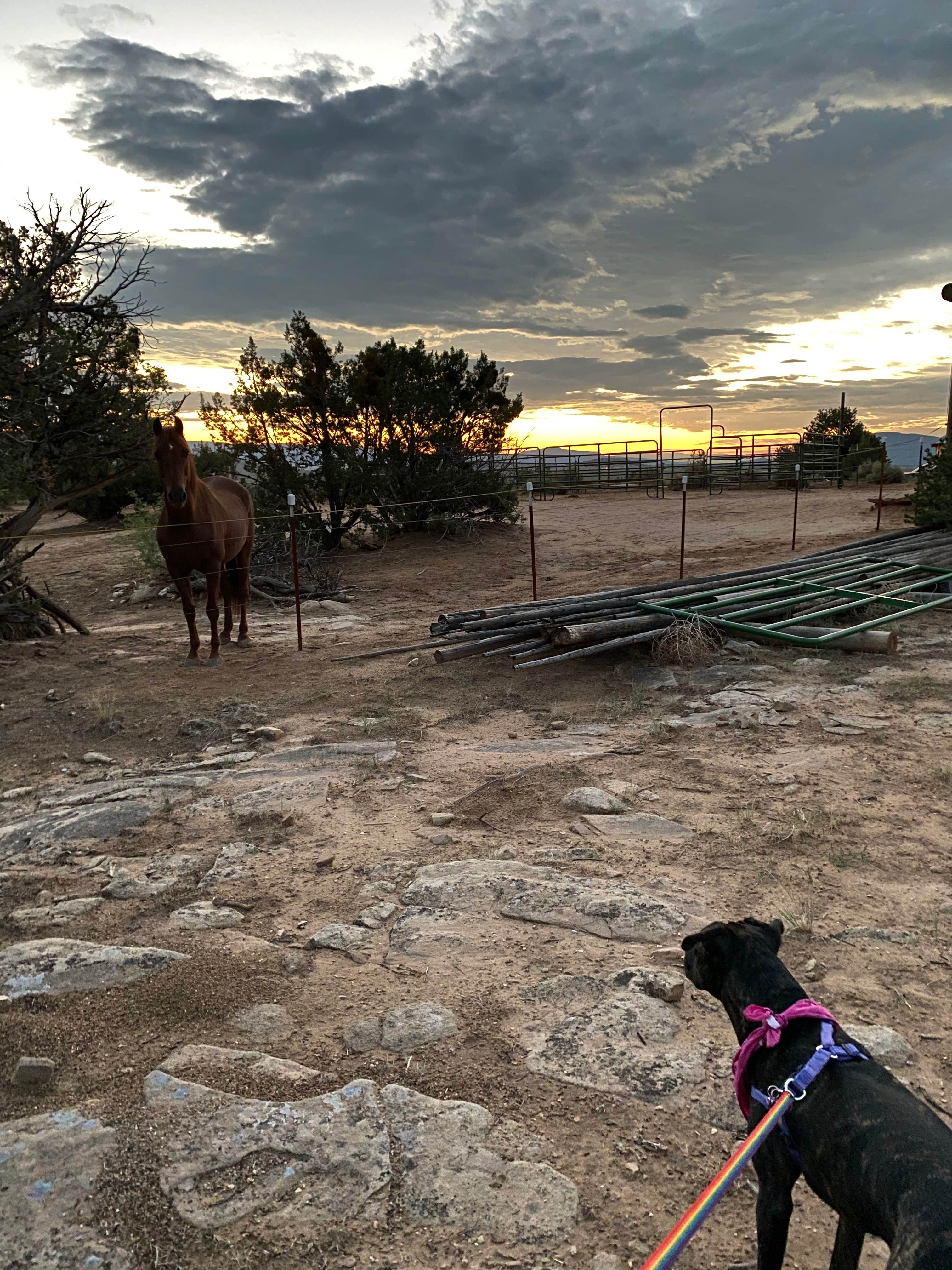 Mystical & Enchanted Desert Escape