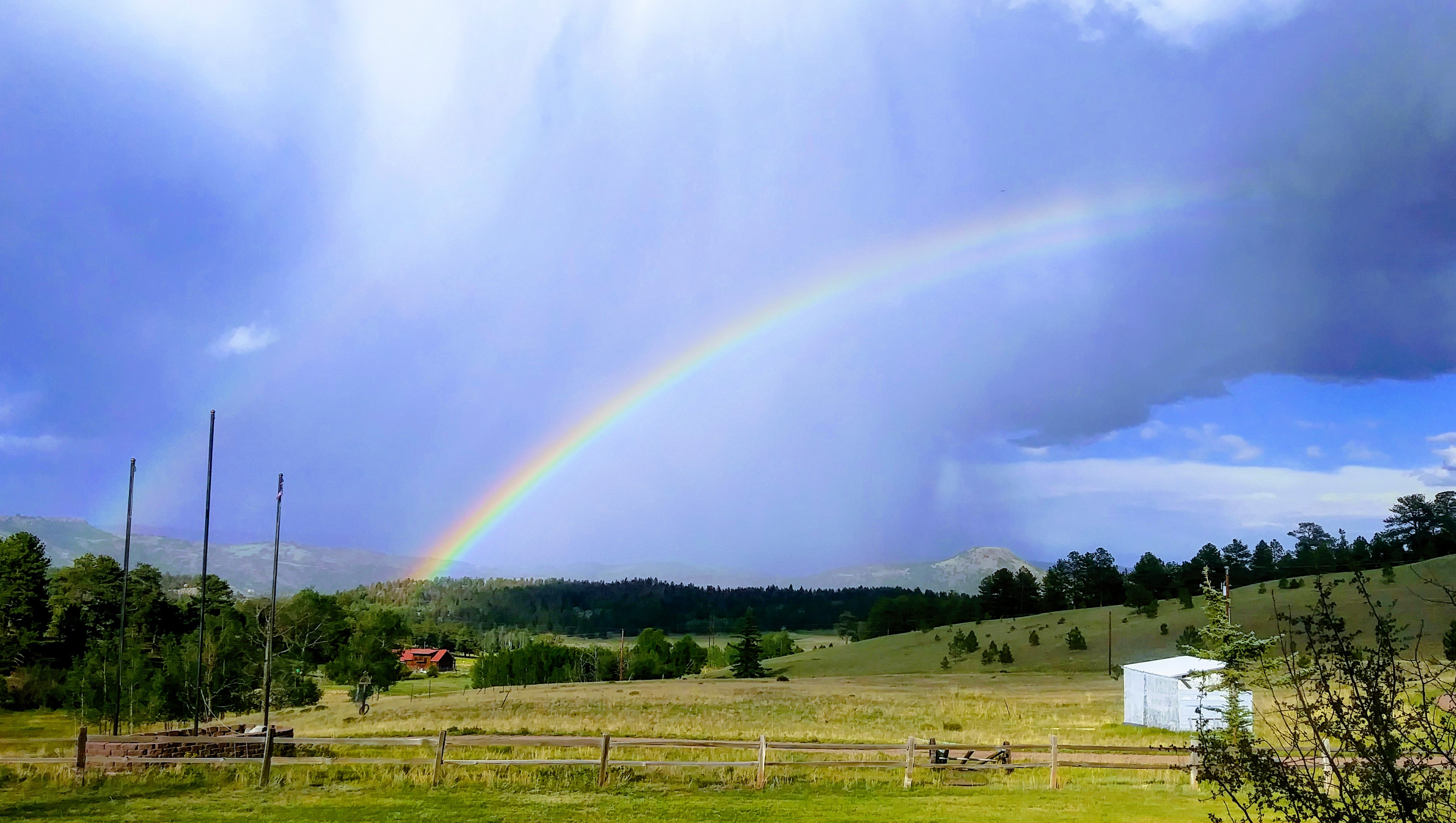 Freshly washed after an afternoon rainstorm (view from living room of main house).