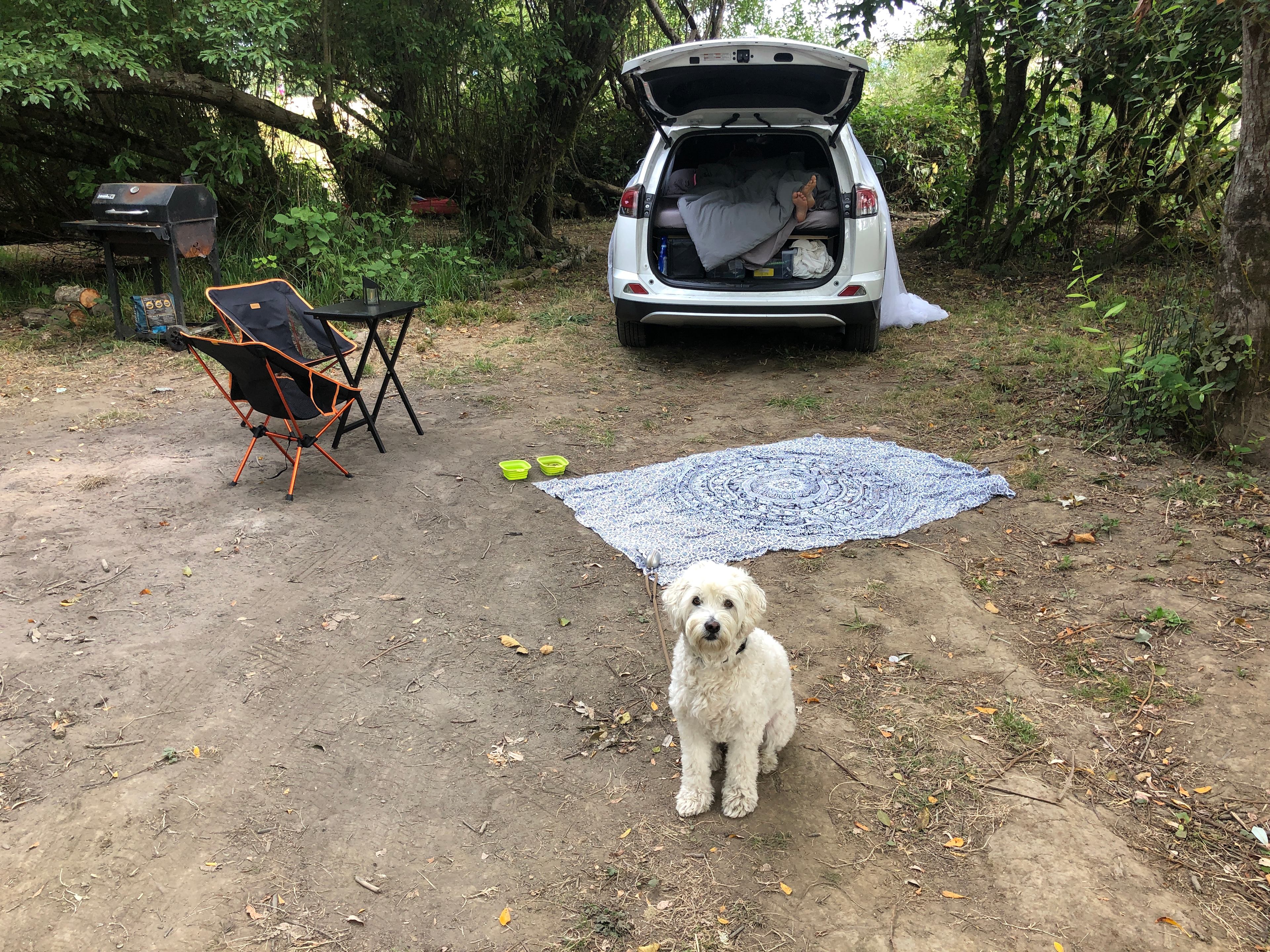 Foley's River Camp