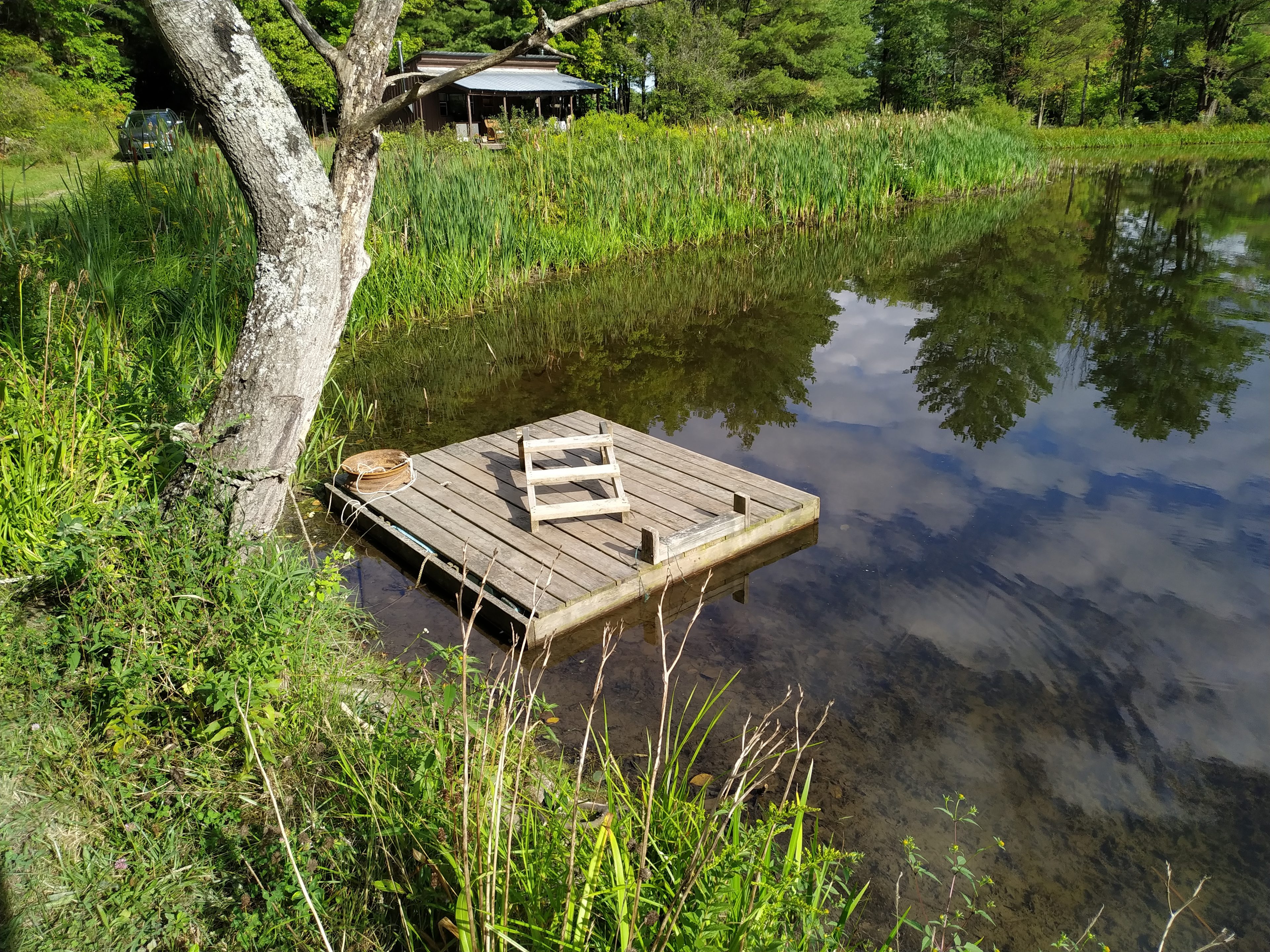 Rustic Reins-Off Grid Cabin