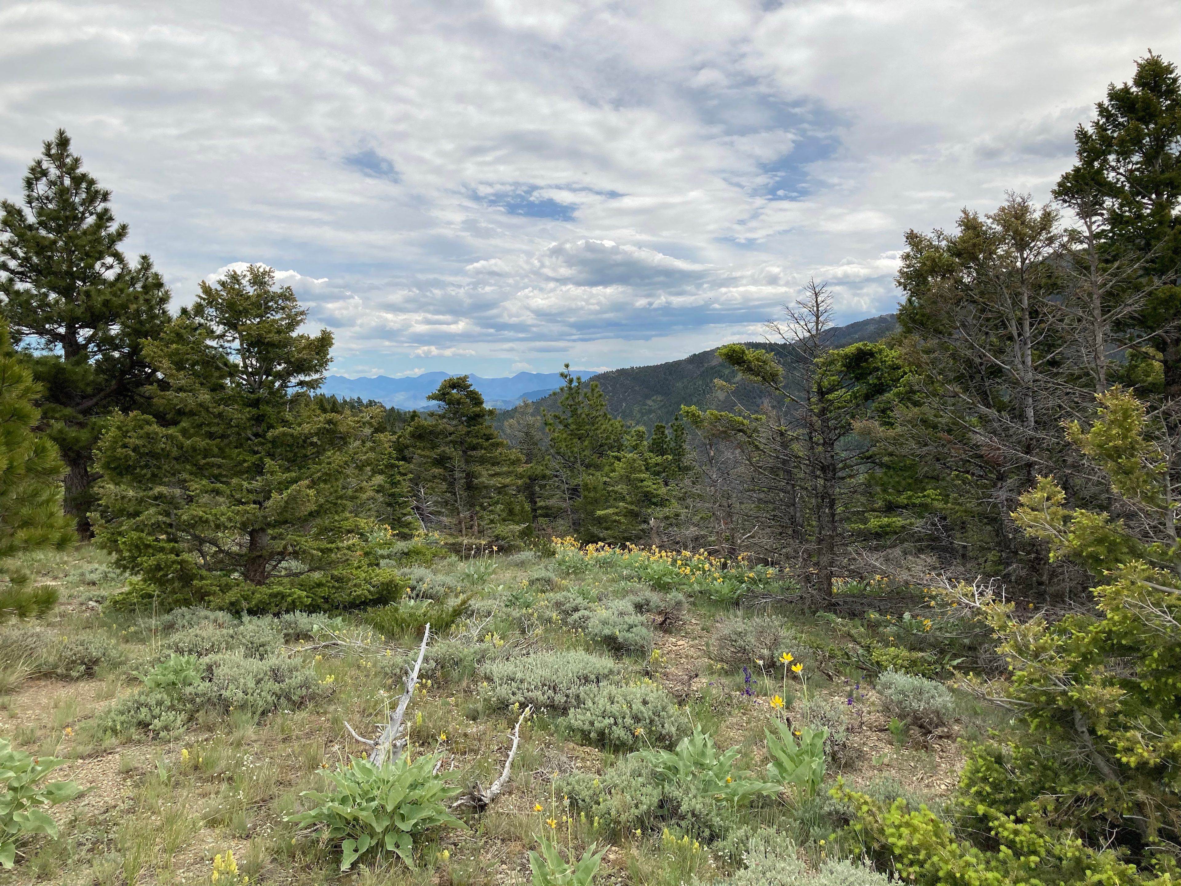 Ridgeline Site