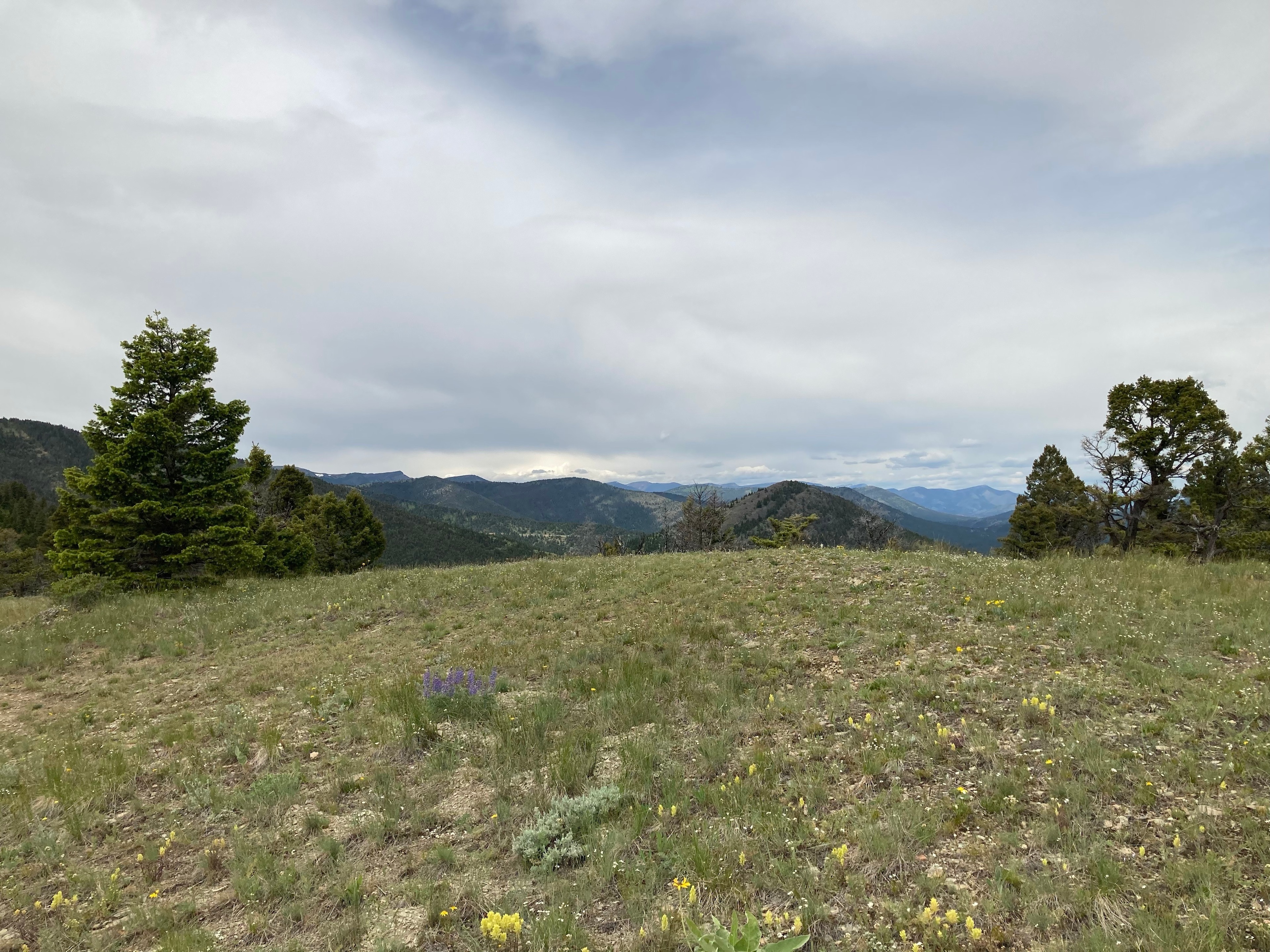 Ridgeline Site Looking East