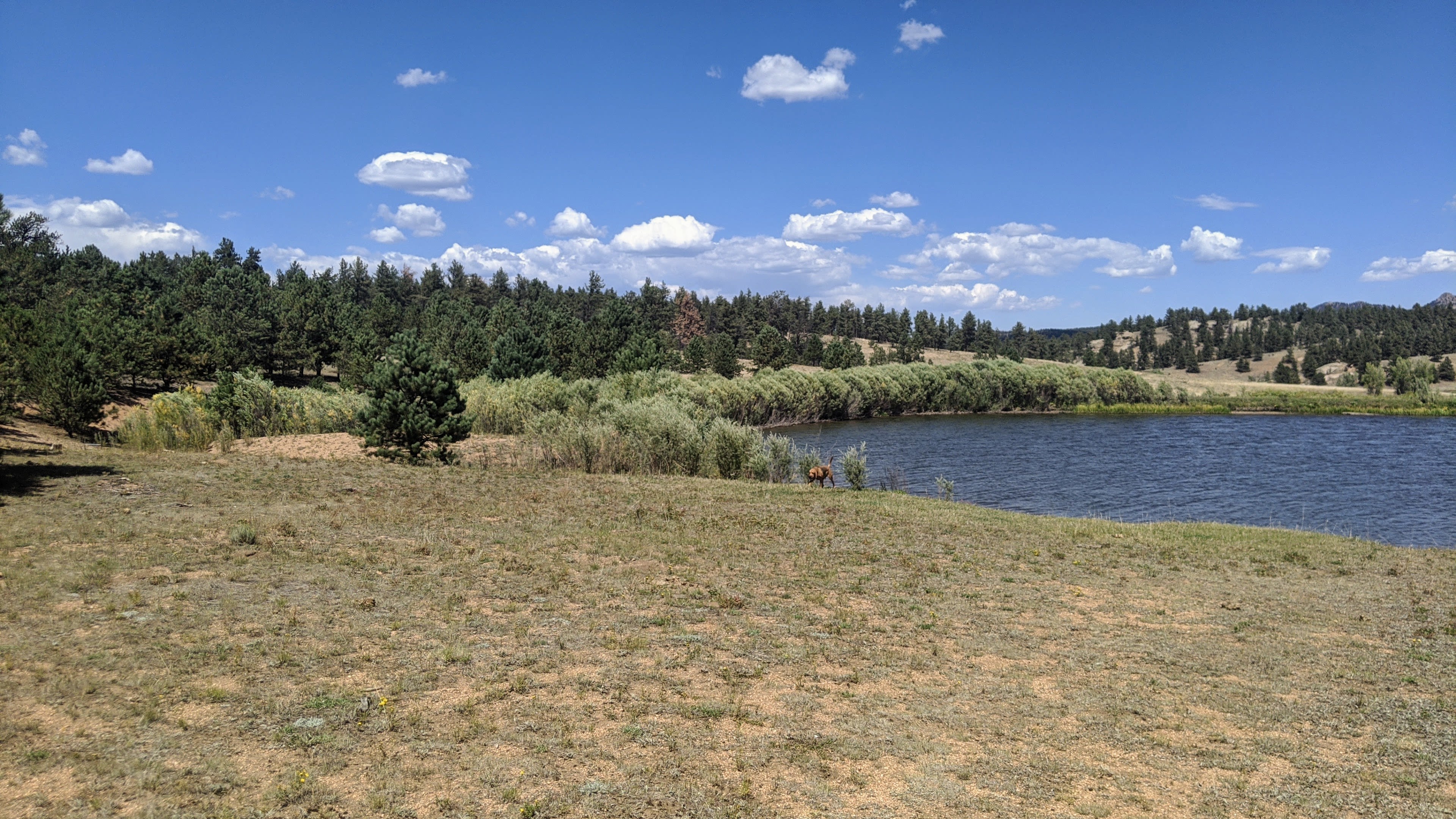 Park your vehicle on the flat surface. 