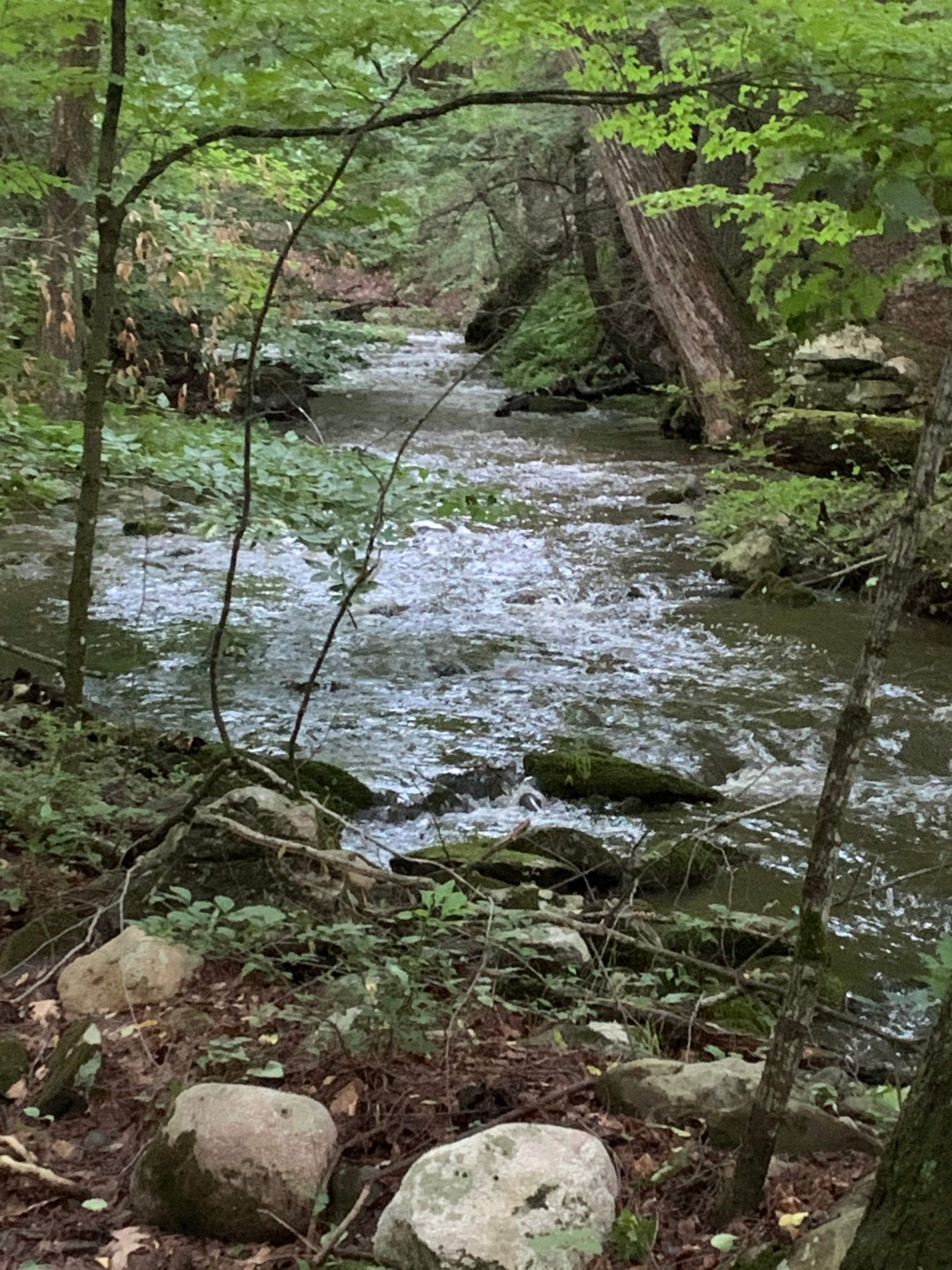 The Sanctuary At Blossom Dell