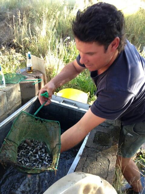 Learn what happens on the farm