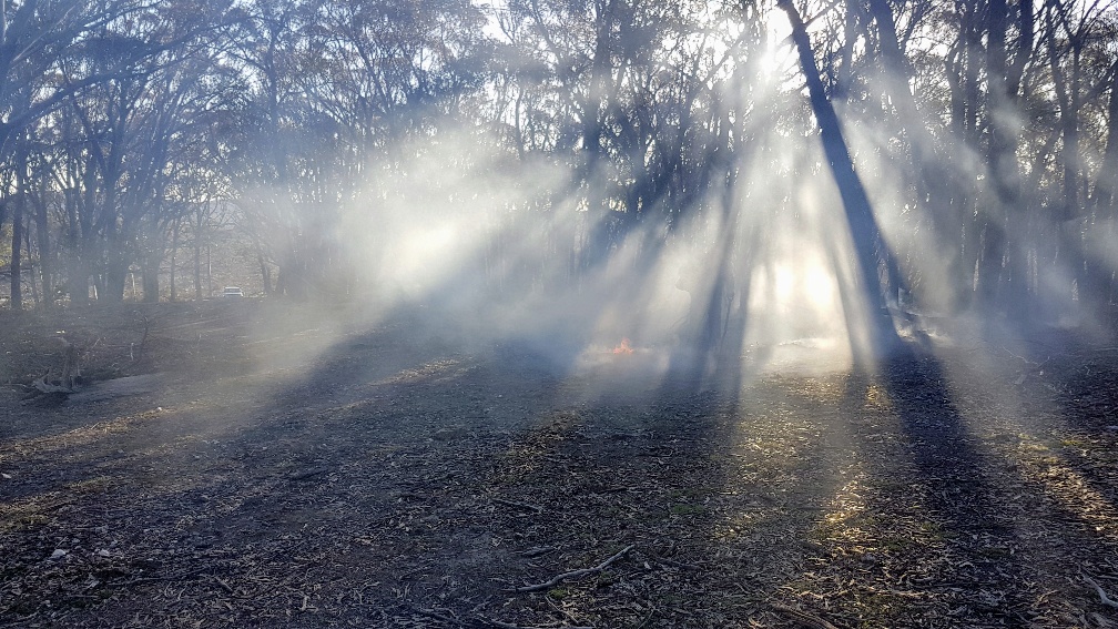 Pine Gums, via Goulburn.