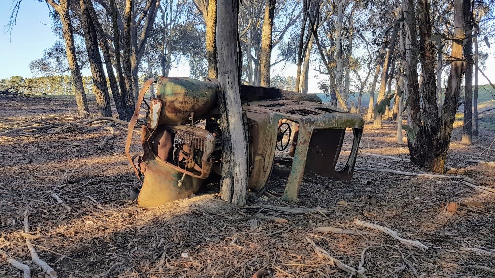 Pine Gums, via Goulburn.
