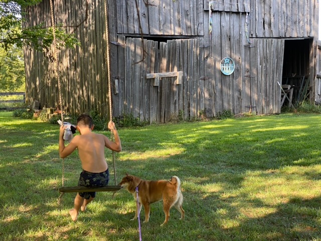 A swing following a dip in the pool