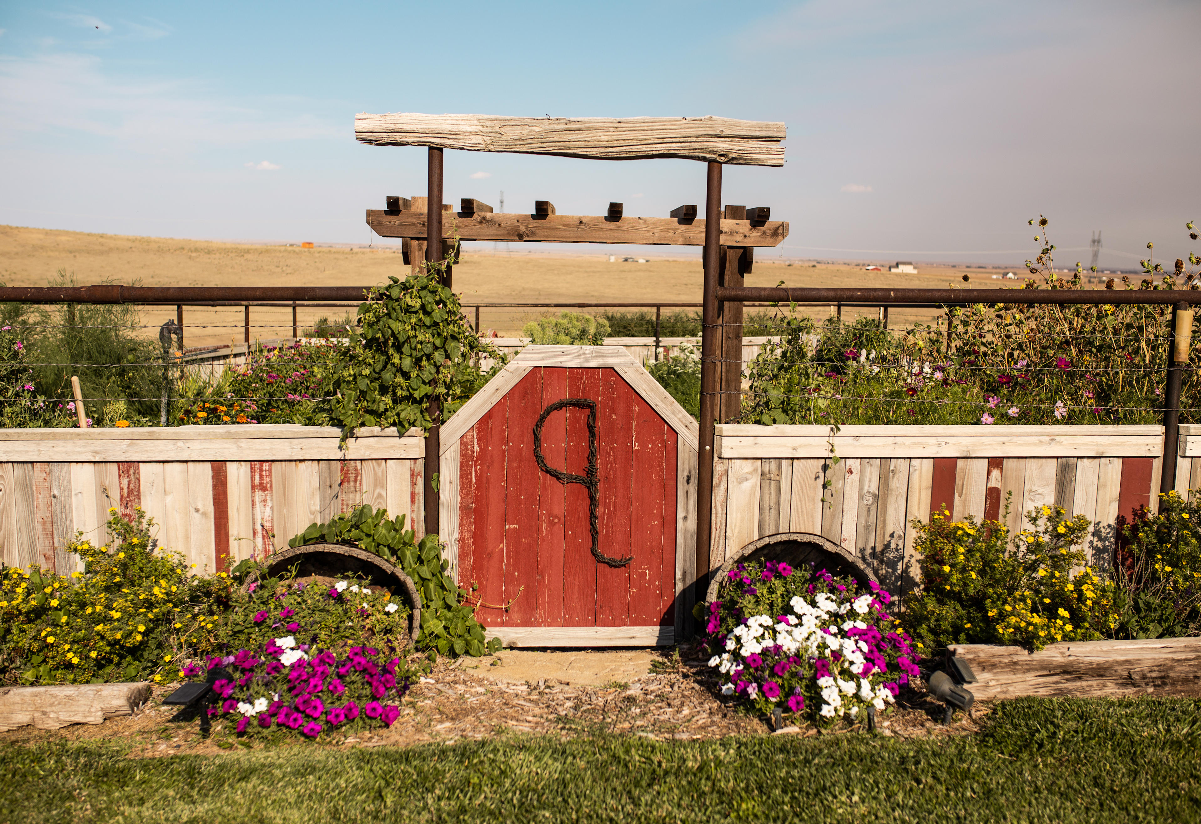 The beautiful garden!