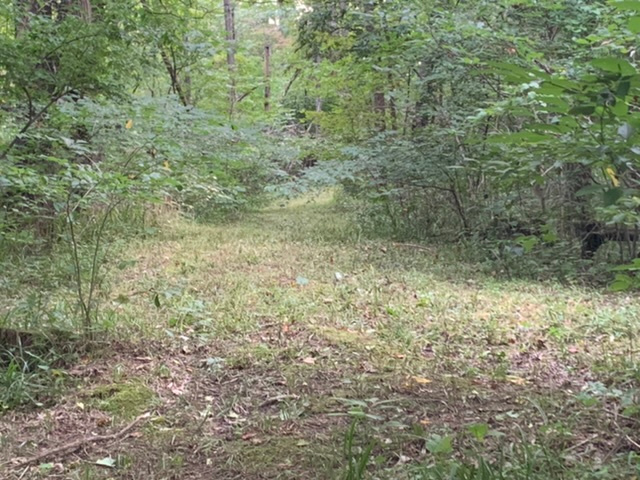 Trail