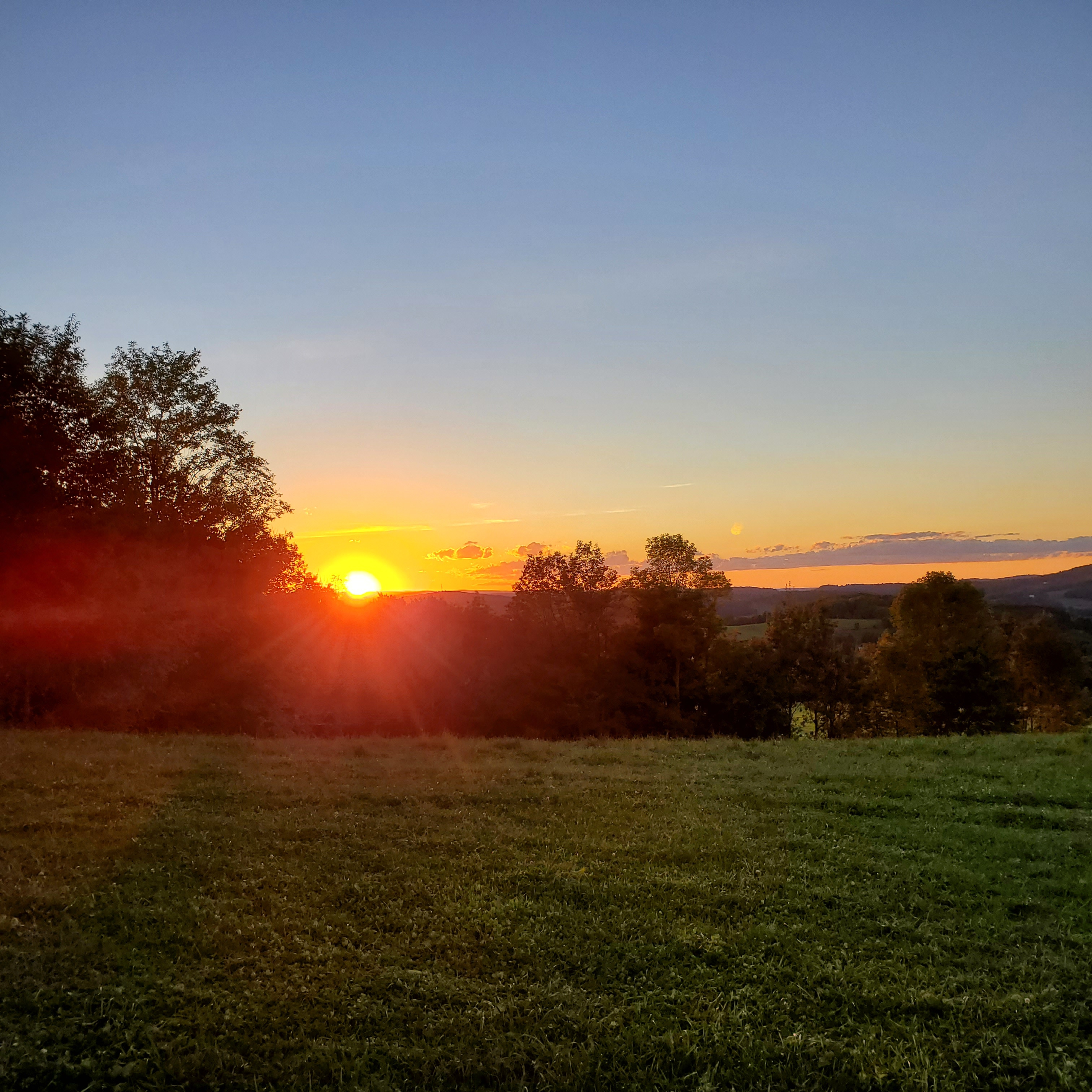 Wahl Dairy Farm.  Hilltop Campsite
