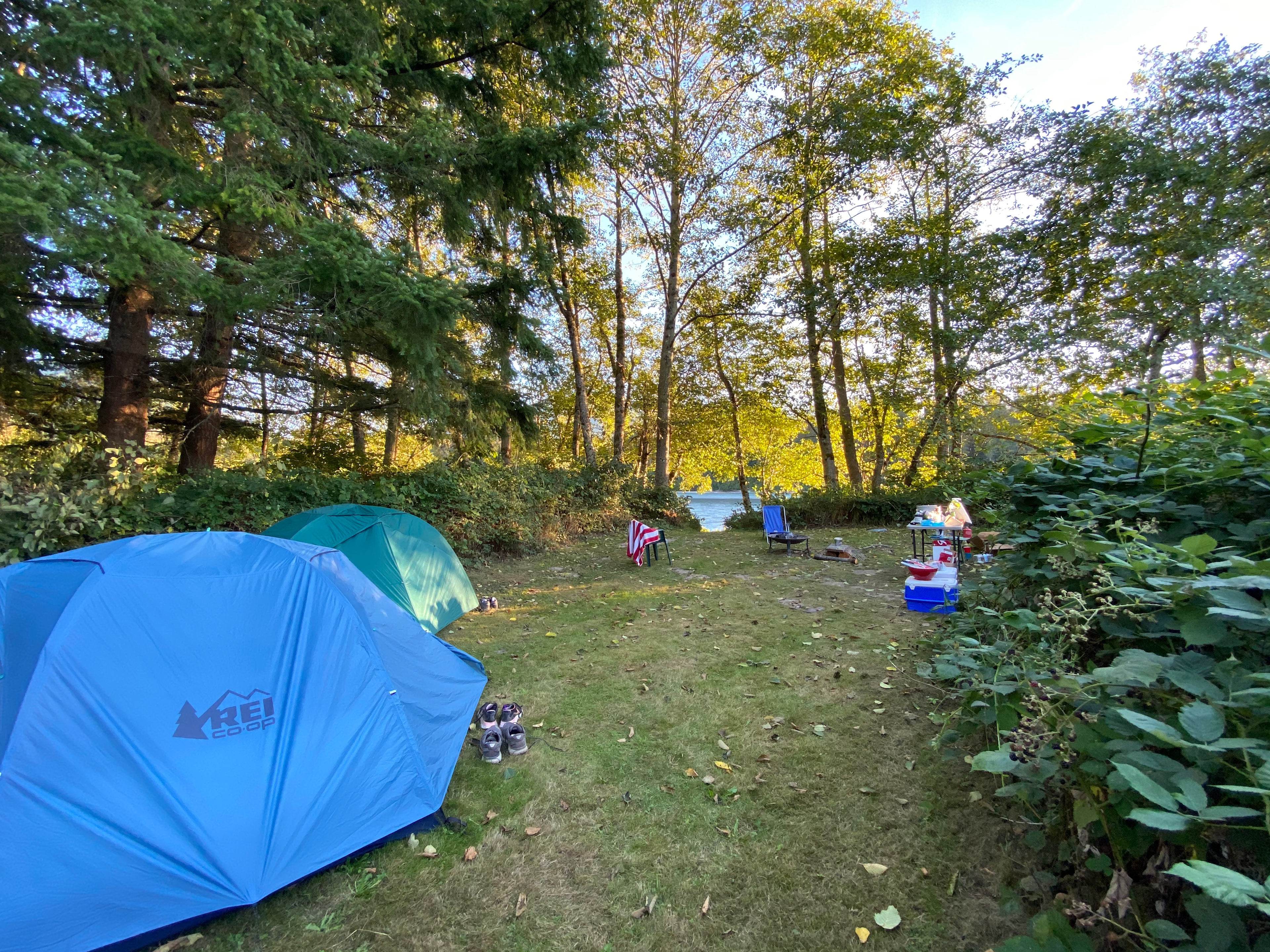 View of our site, with fire pit and table. It's totally enclosed by blackberry bushes and very private.