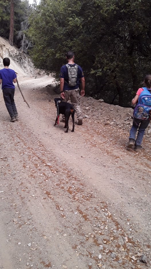 Antelope Canyon Ranch