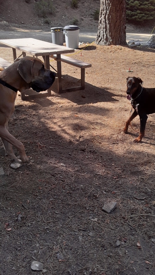 Antelope Canyon Ranch
