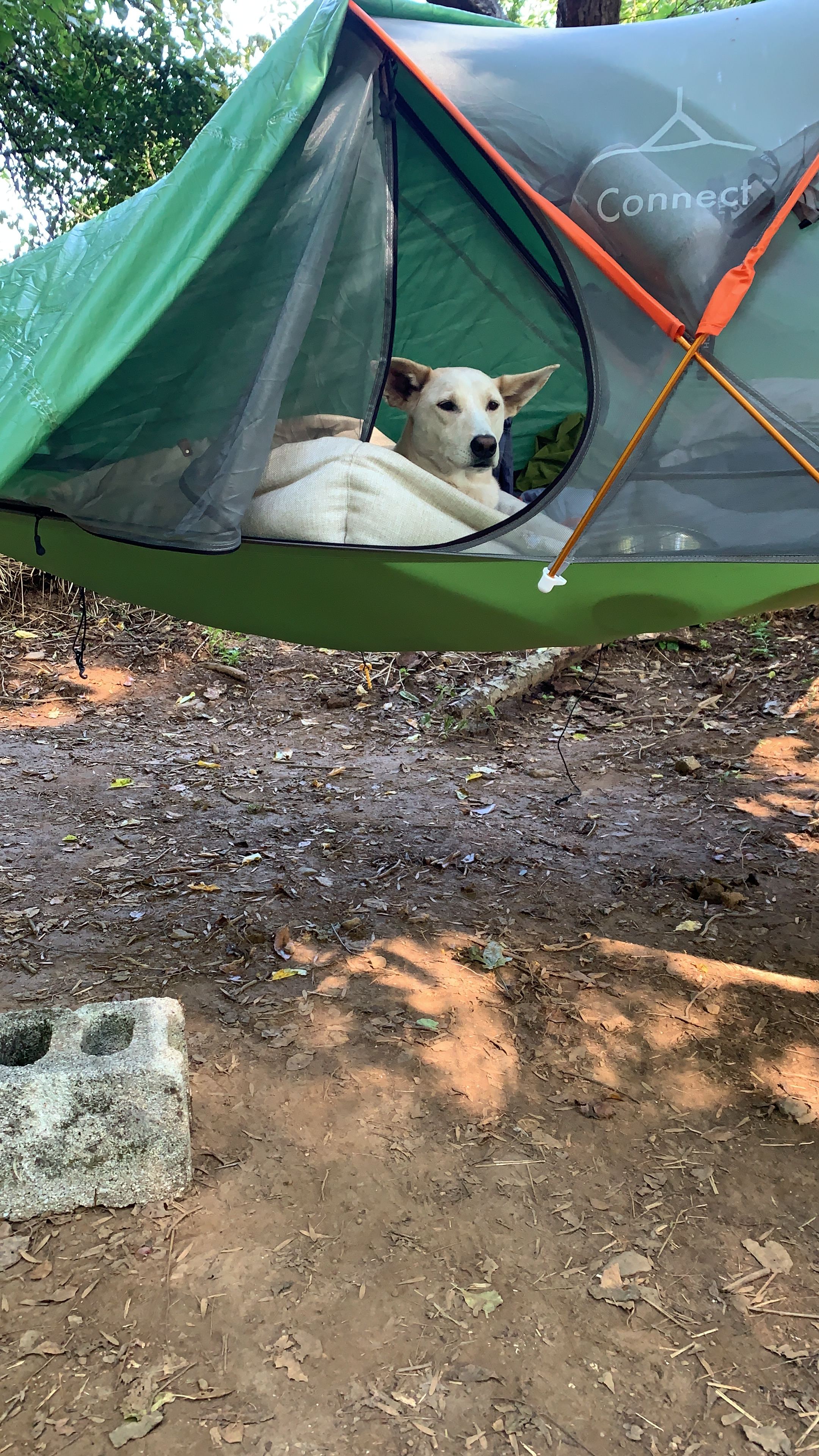 Even chase loved the the views from the tent 