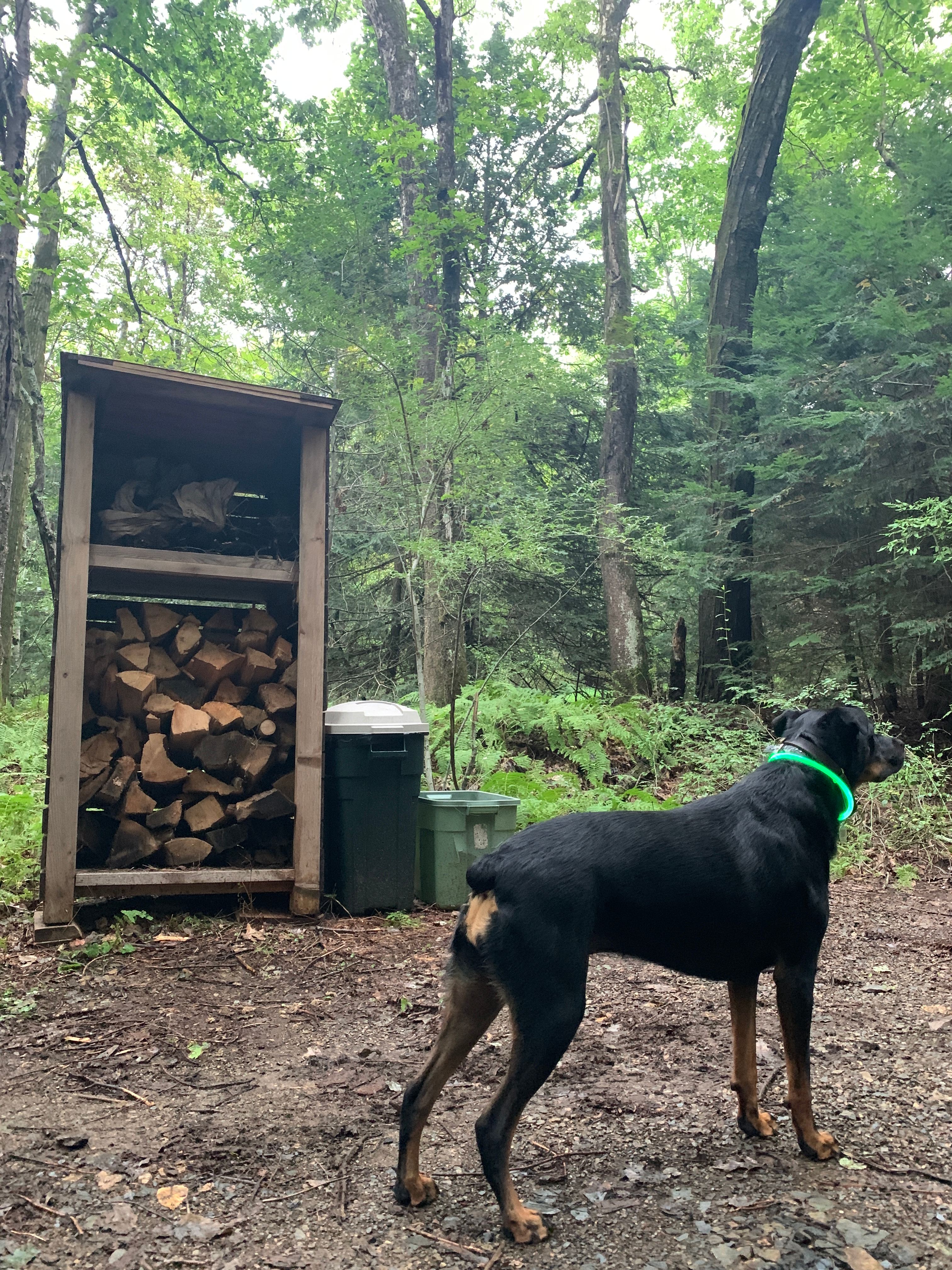 Ample firewood, kindling, lighter + trash and recycling!