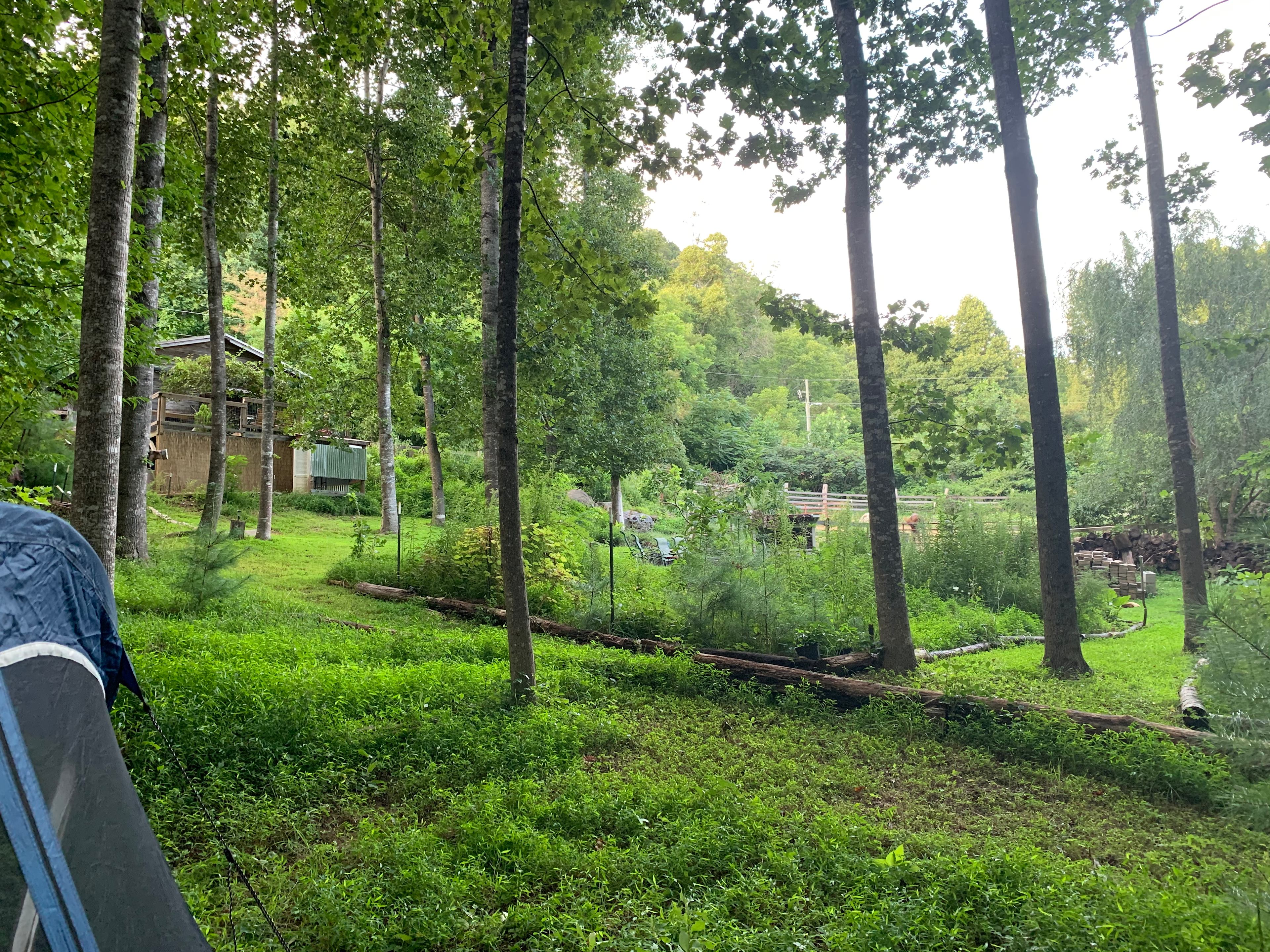 Paradise Ridge Permaculture