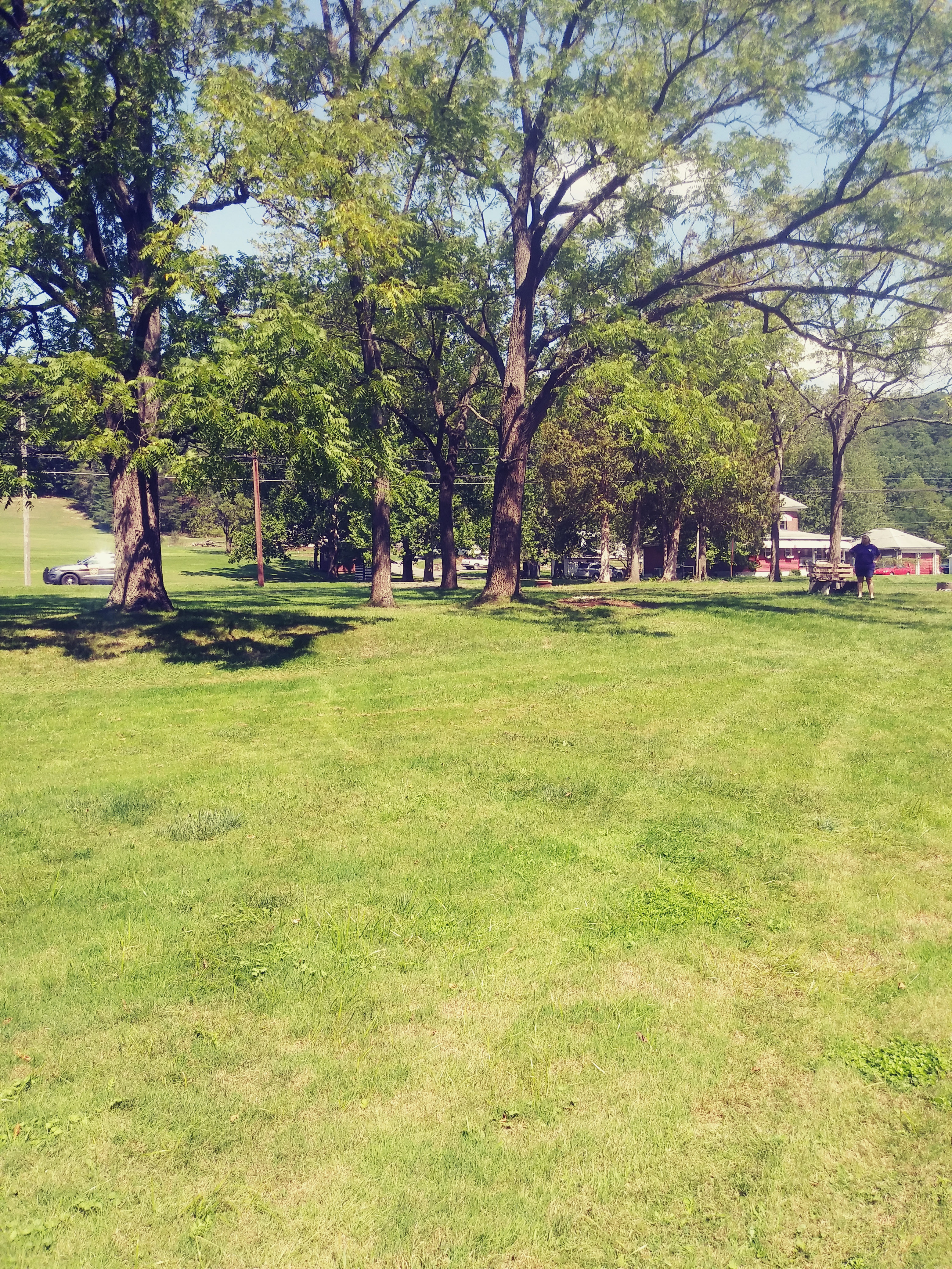Open grassy area.