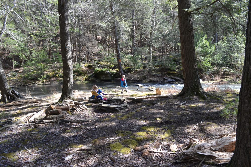 The campsite nestled under the hemlock tree canopy between the two meadows.
