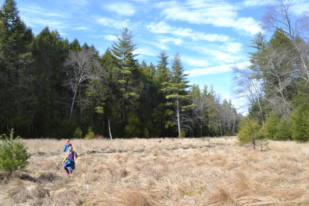 The larger of the two brook meadows next to the campsite.