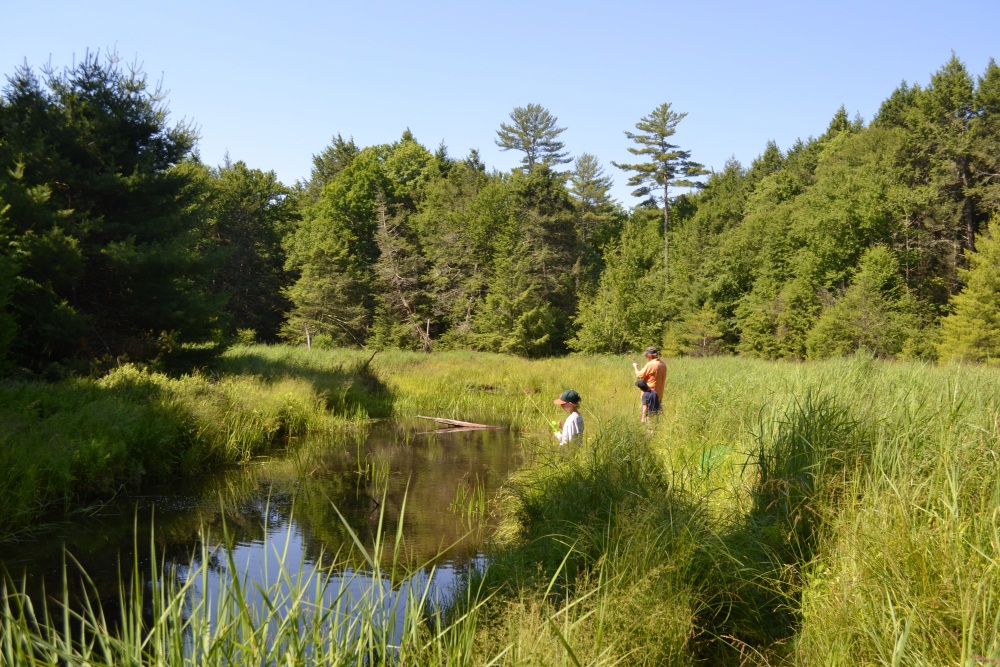 The smaller of the two meadows right next to the campsite.