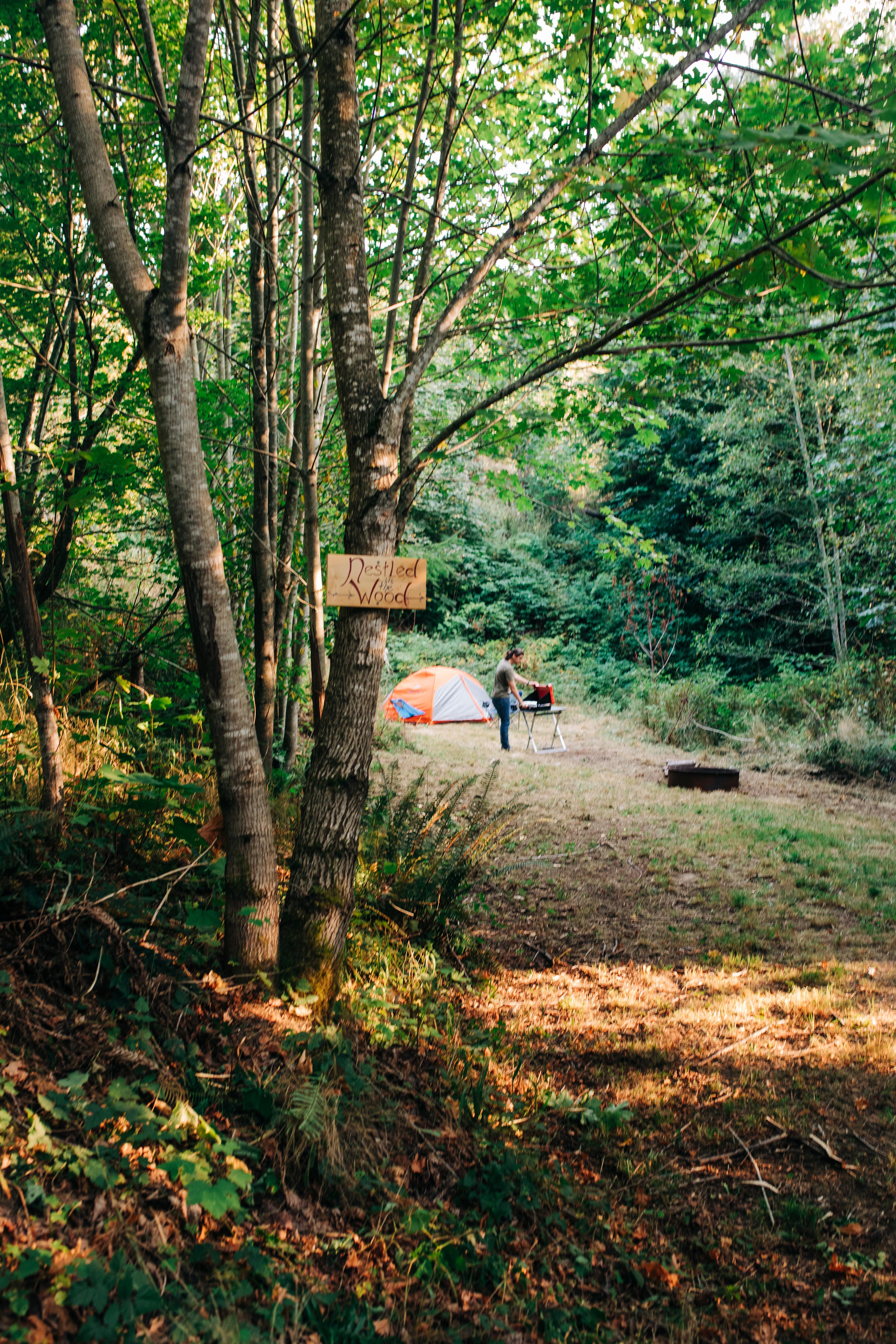 Nestled in the woods!