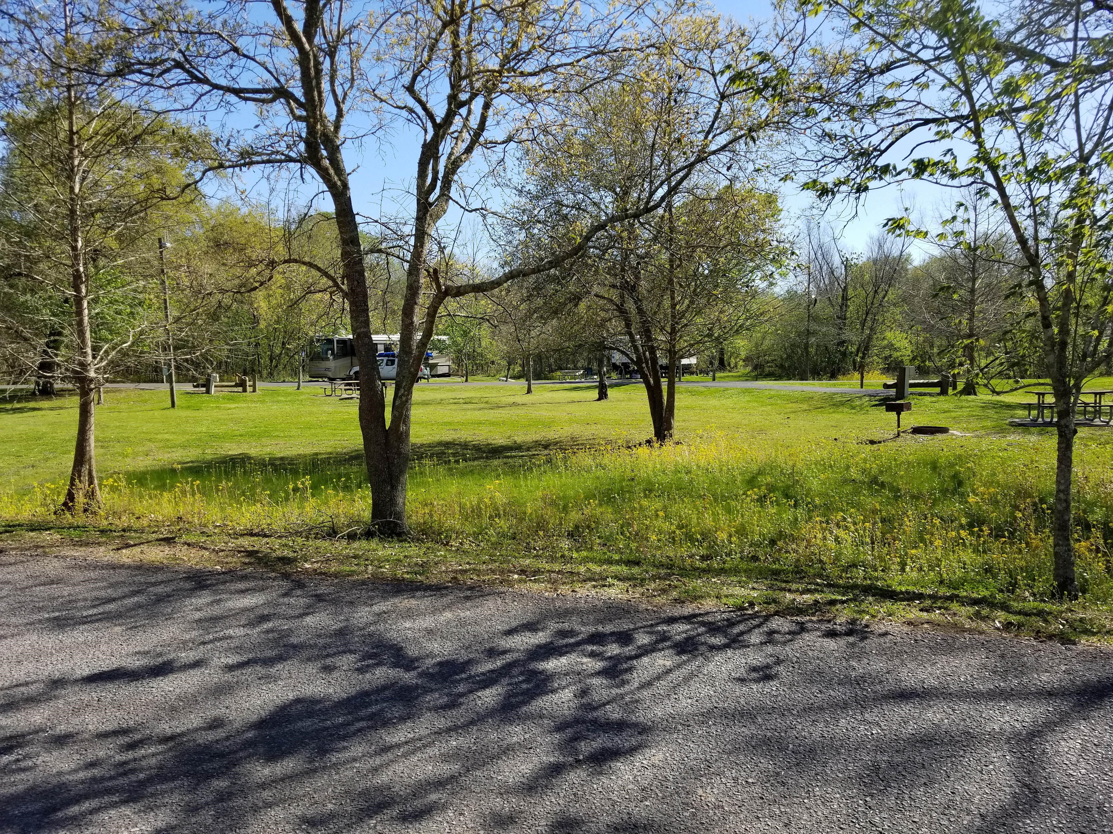 Open grassy area between campsites.