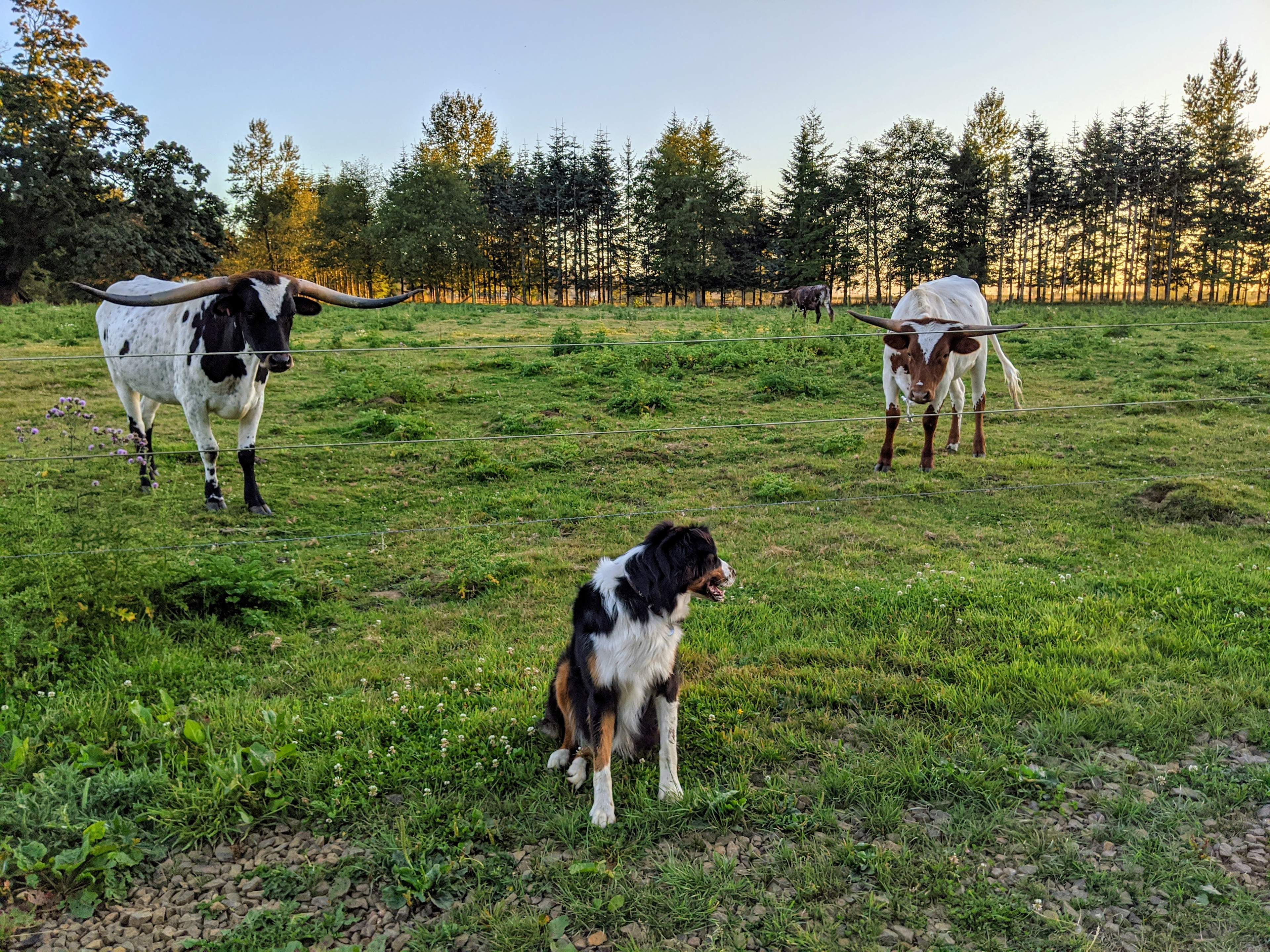Not sure who is more suspicious of whom. :)